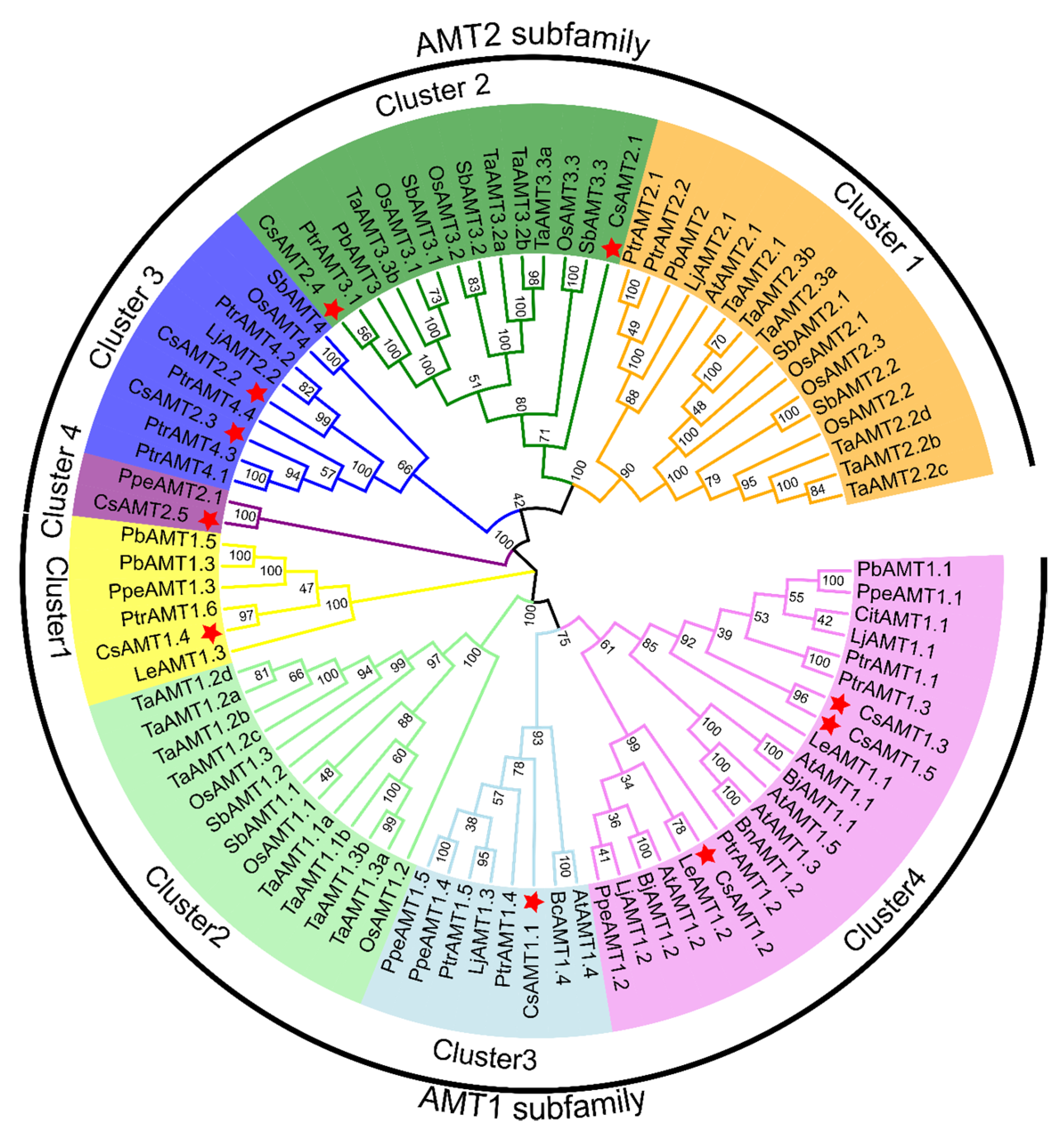 Ijms 23 15661 g003 Ijms 23 15661 g003