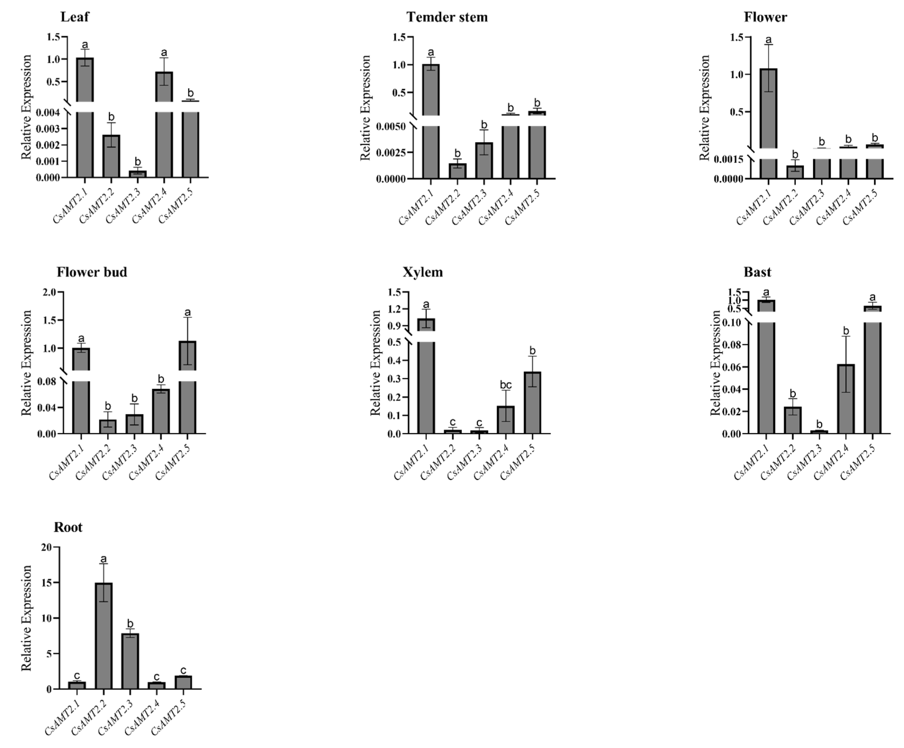 Ijms 23 15661 g005 Ijms 23 15661 g005