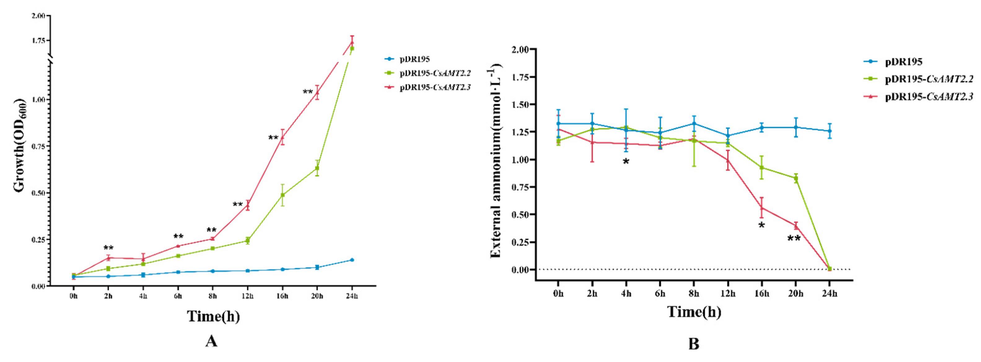 Ijms 23 15661 g009 Ijms 23 15661 g009