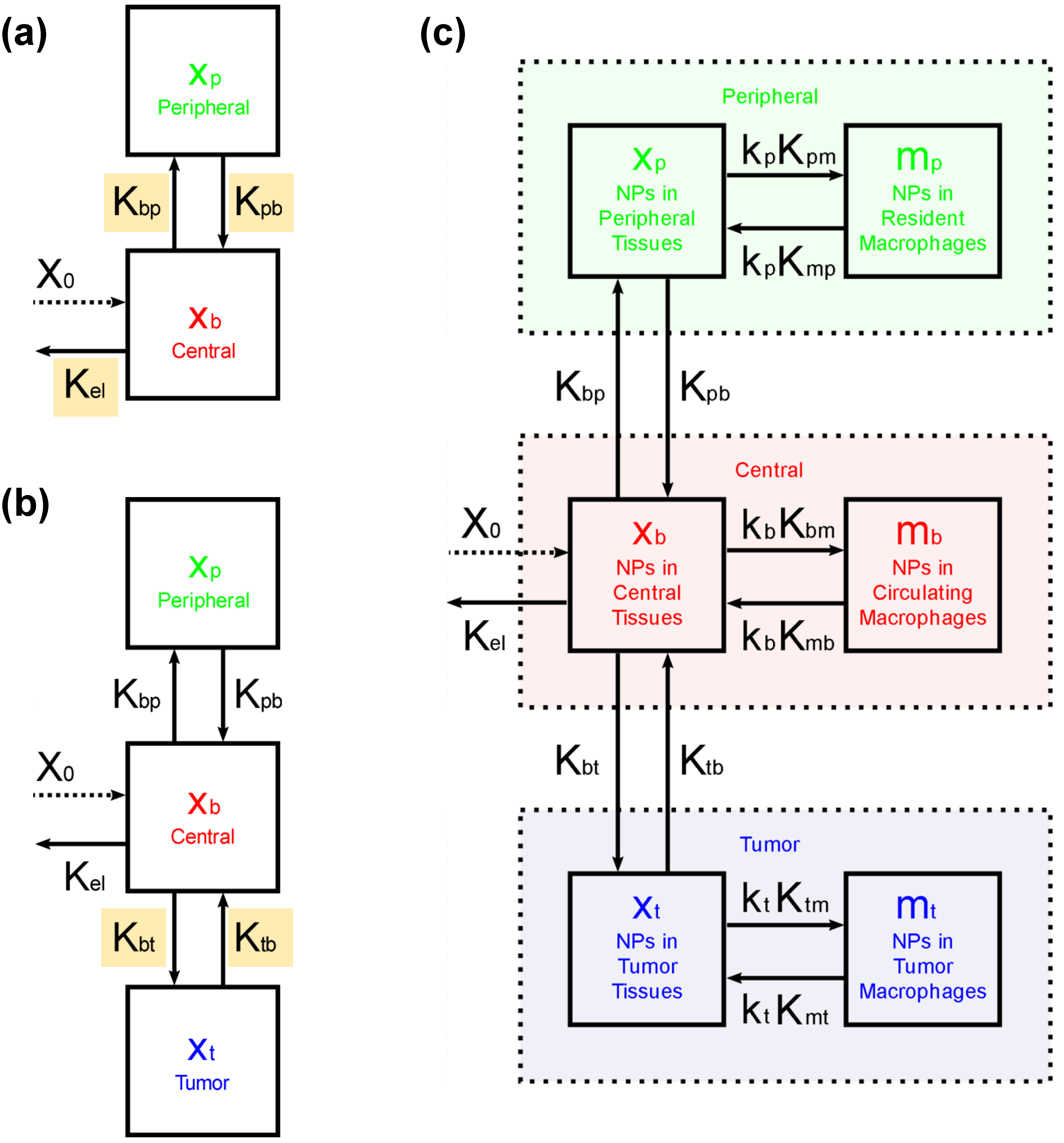 Ijms 23 15664 g005 Ijms 23 15664 g005