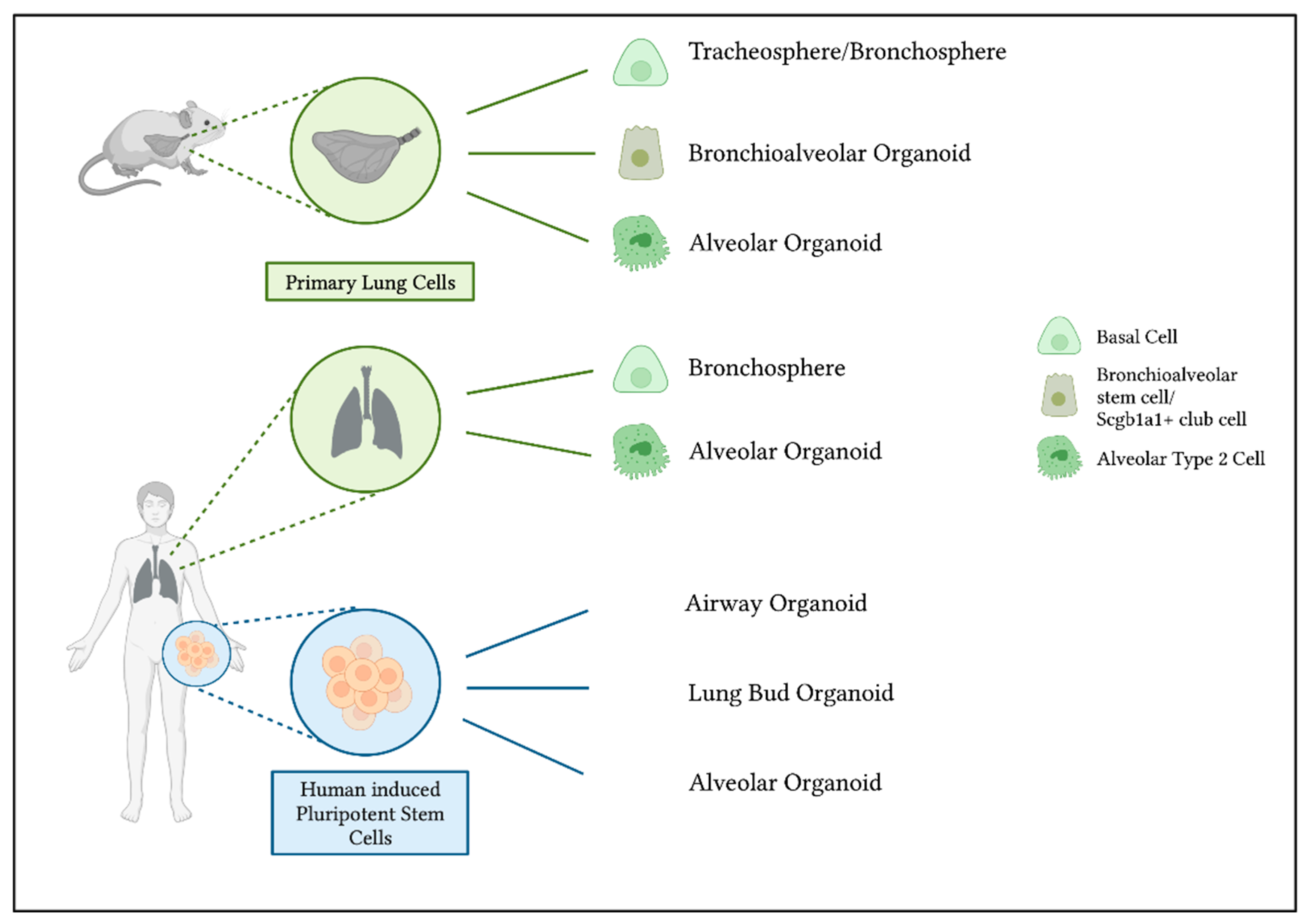 Ijms 23 15666 g001 Ijms 23 15666 g001