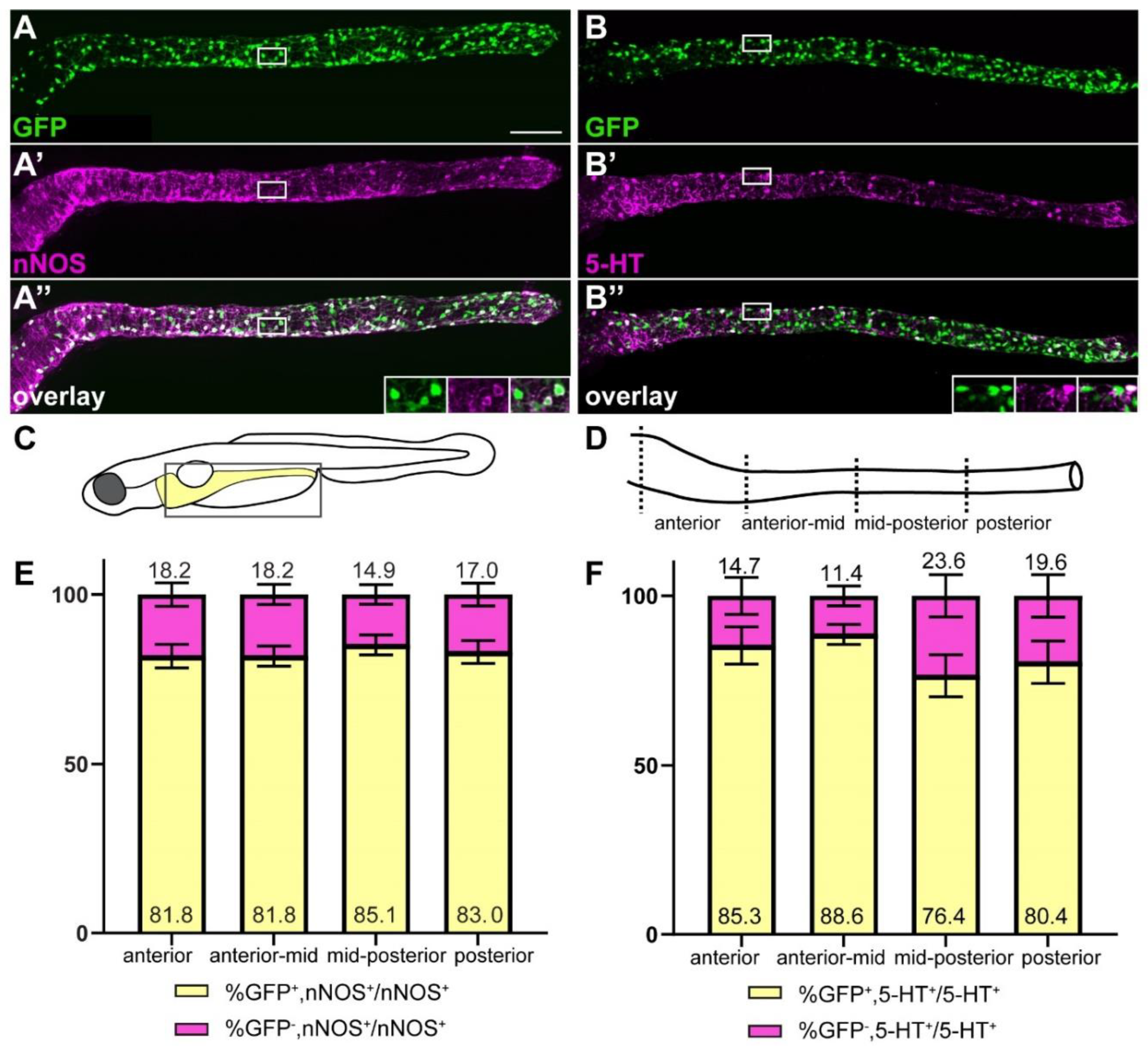 Ijms 23 15667 g004 Ijms 23 15667 g004