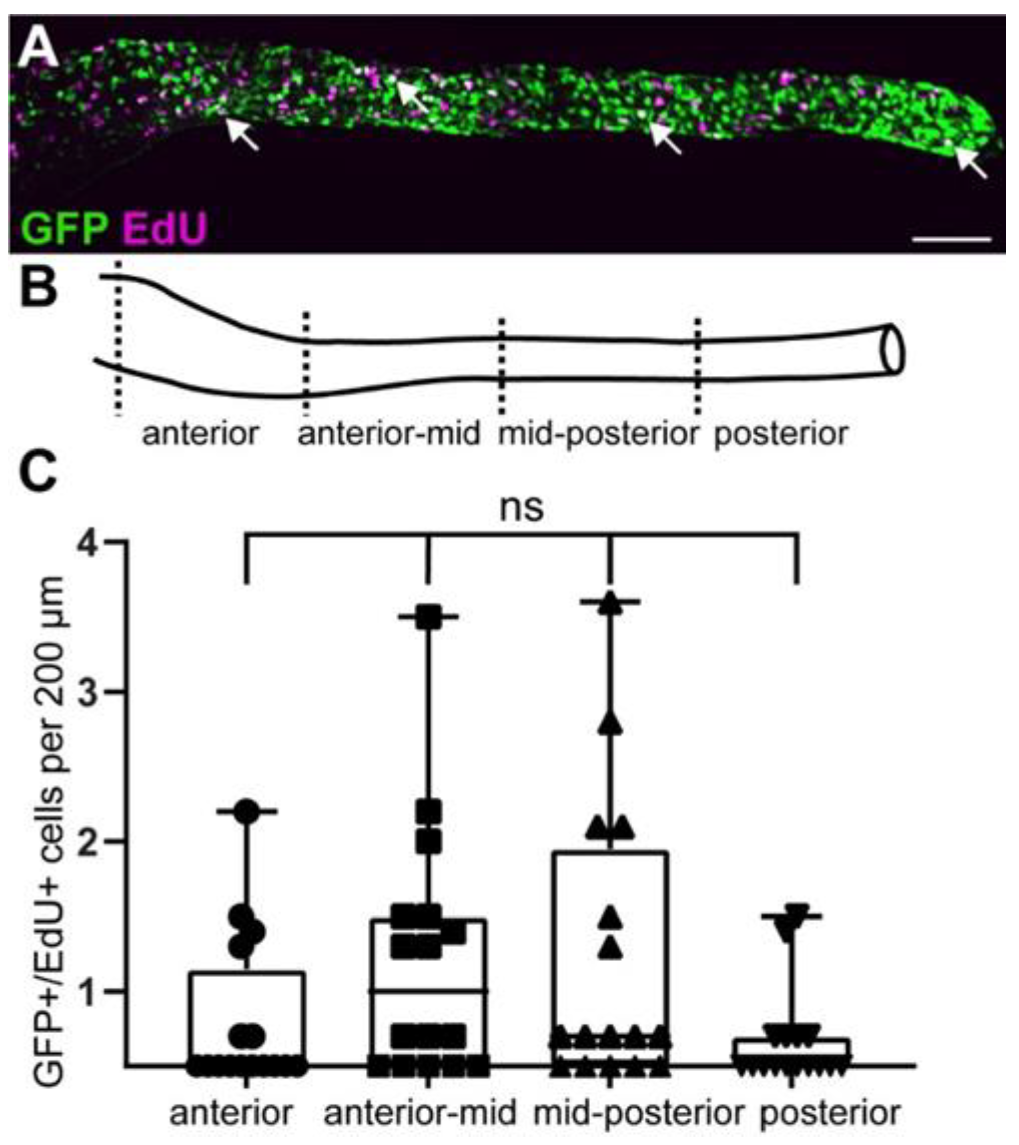 Ijms 23 15667 g005 Ijms 23 15667 g005