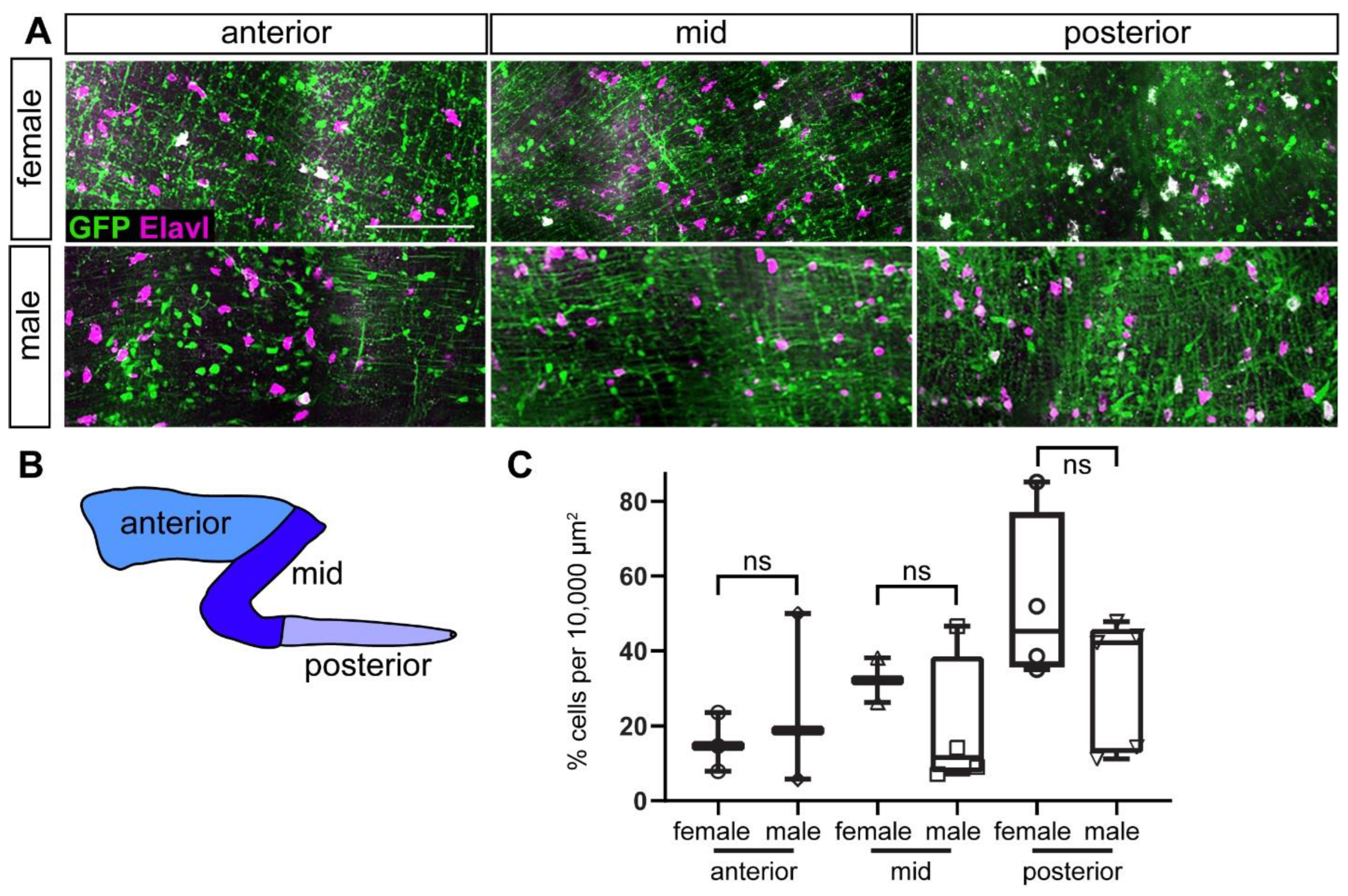 Ijms 23 15667 g006 Ijms 23 15667 g006