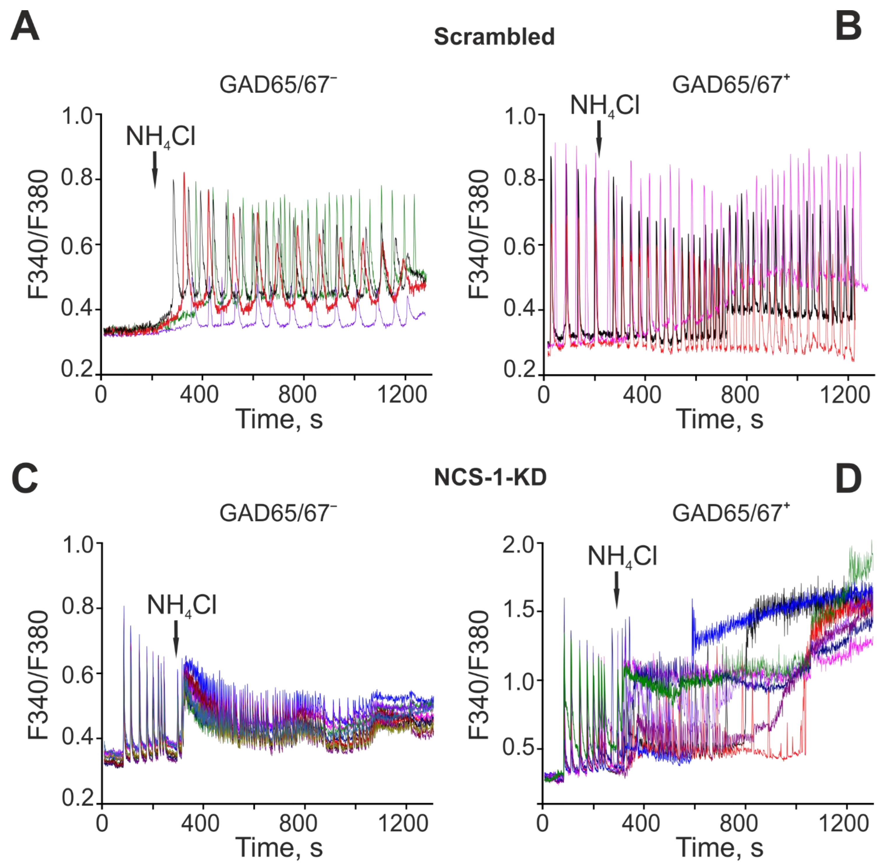 Ijms 23 15675 g007 Ijms 23 15675 g007