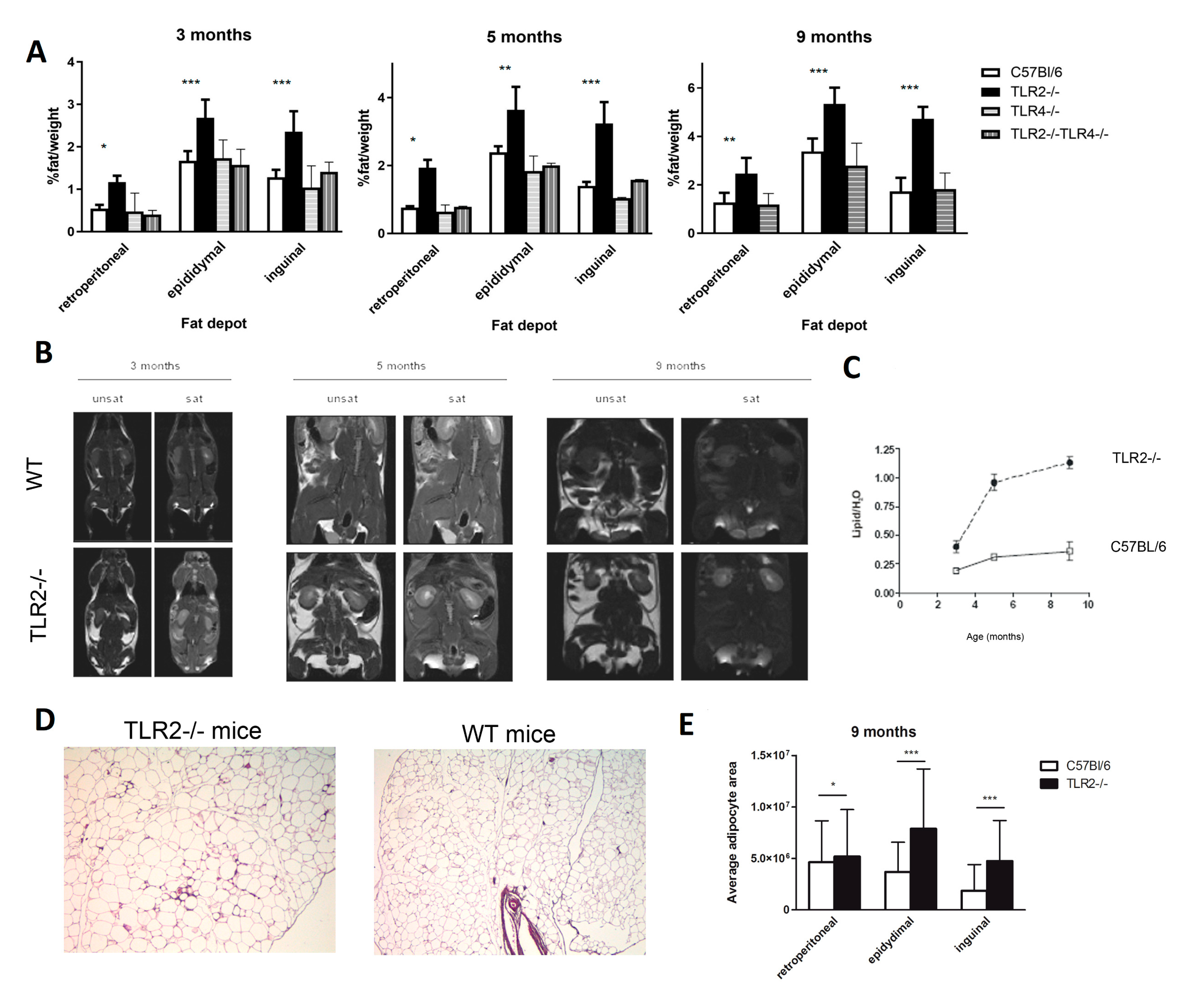 Ijms 23 15682 g003 Ijms 23 15682 g003