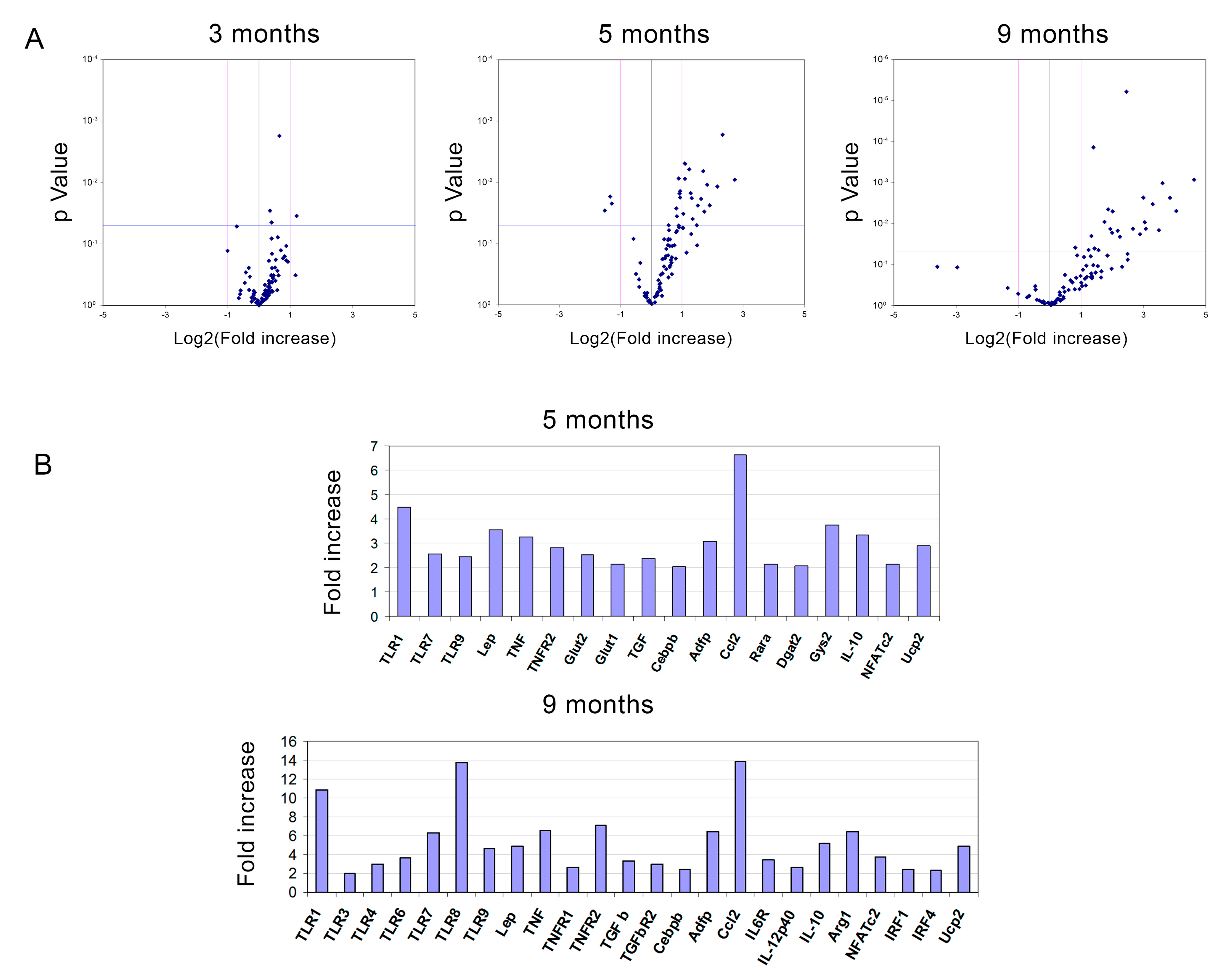Ijms 23 15682 g005 Ijms 23 15682 g005
