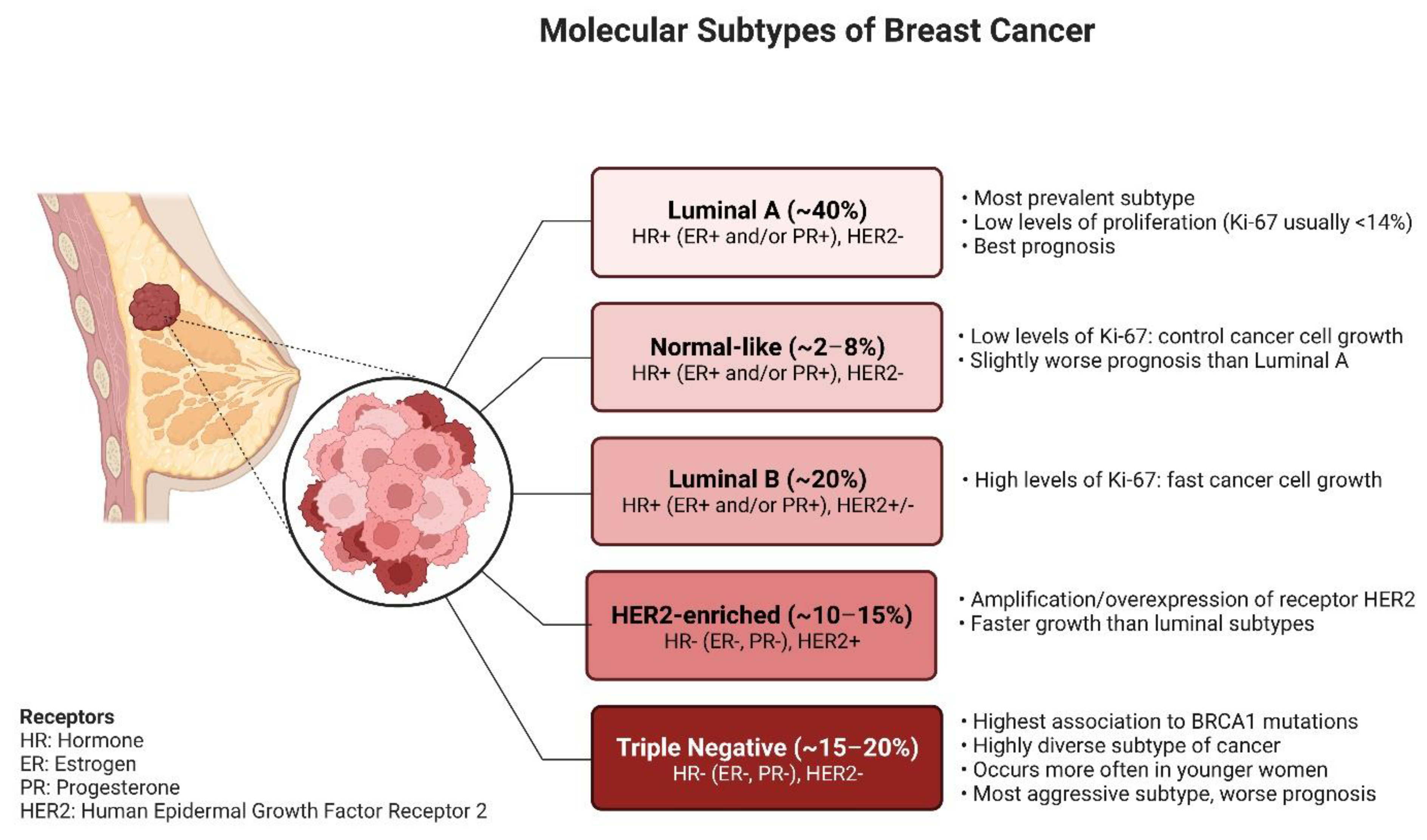 Ijms 23 15683 g001 Ijms 23 15683 g001
