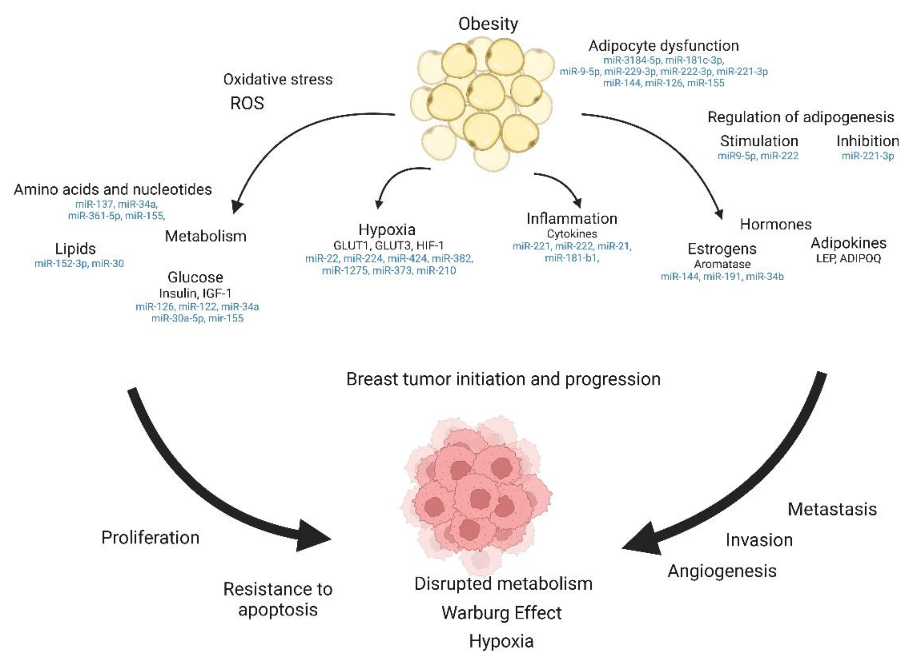 Ijms 23 15683 g003 Ijms 23 15683 g003