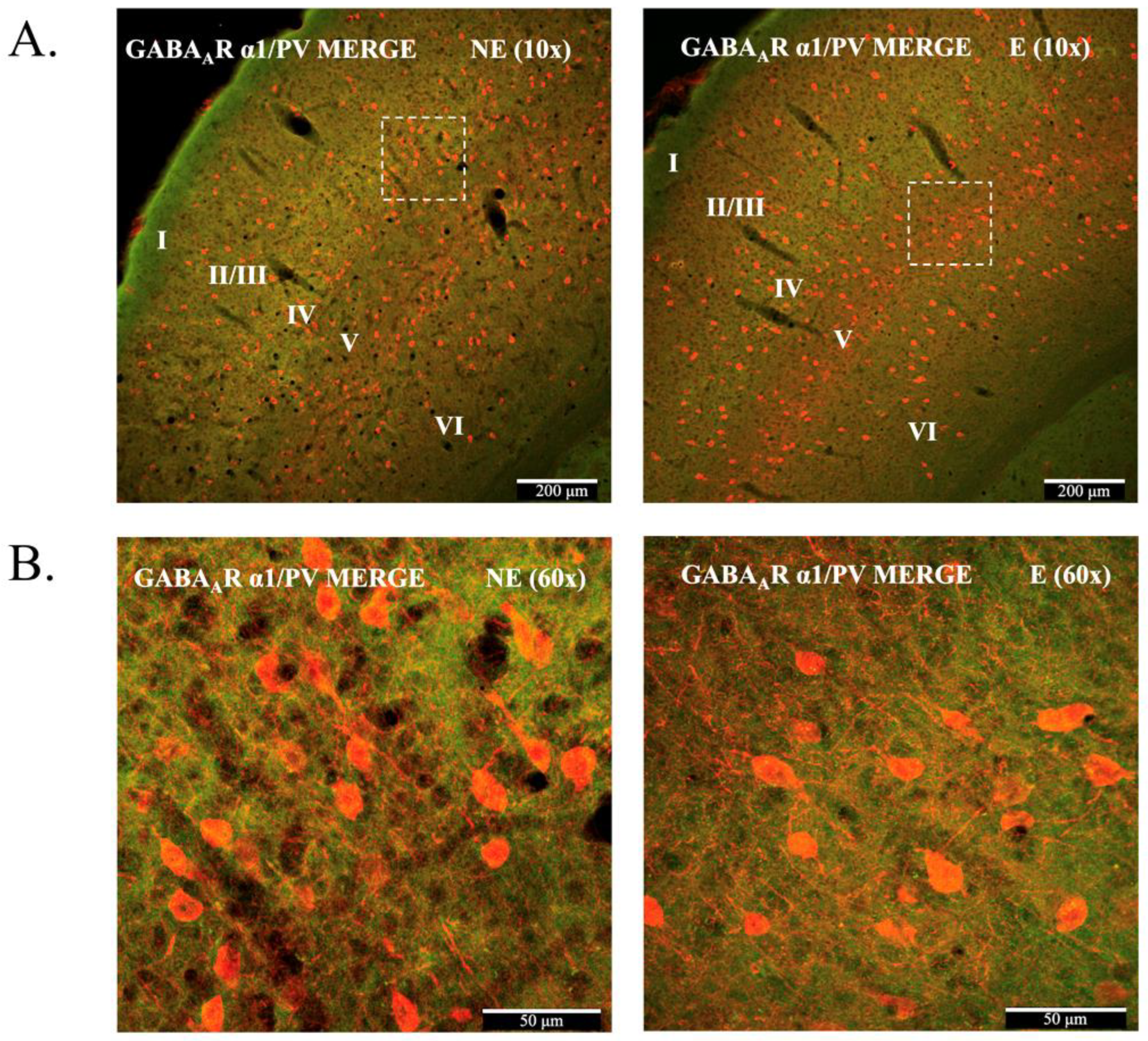 Ijms 23 15685 g002 Ijms 23 15685 g002