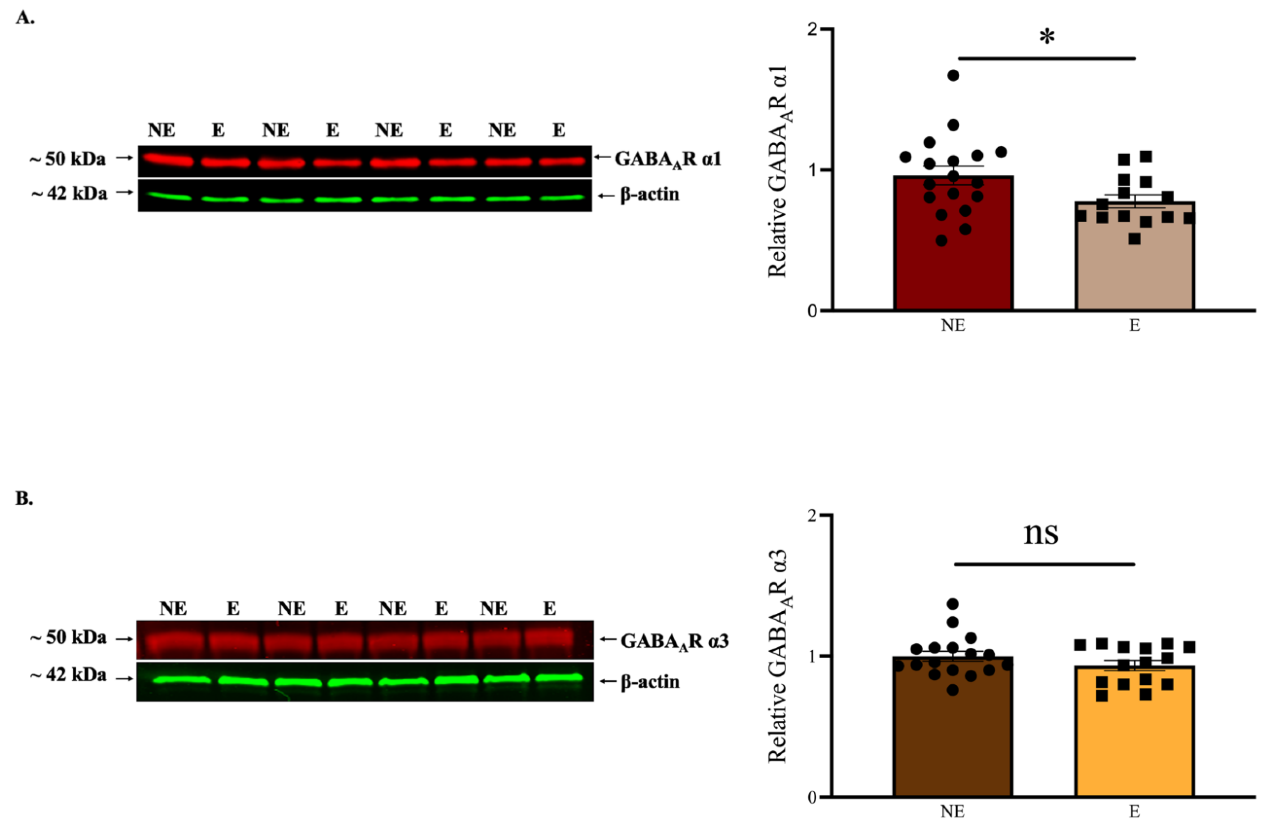 Ijms 23 15685 g003 Ijms 23 15685 g003