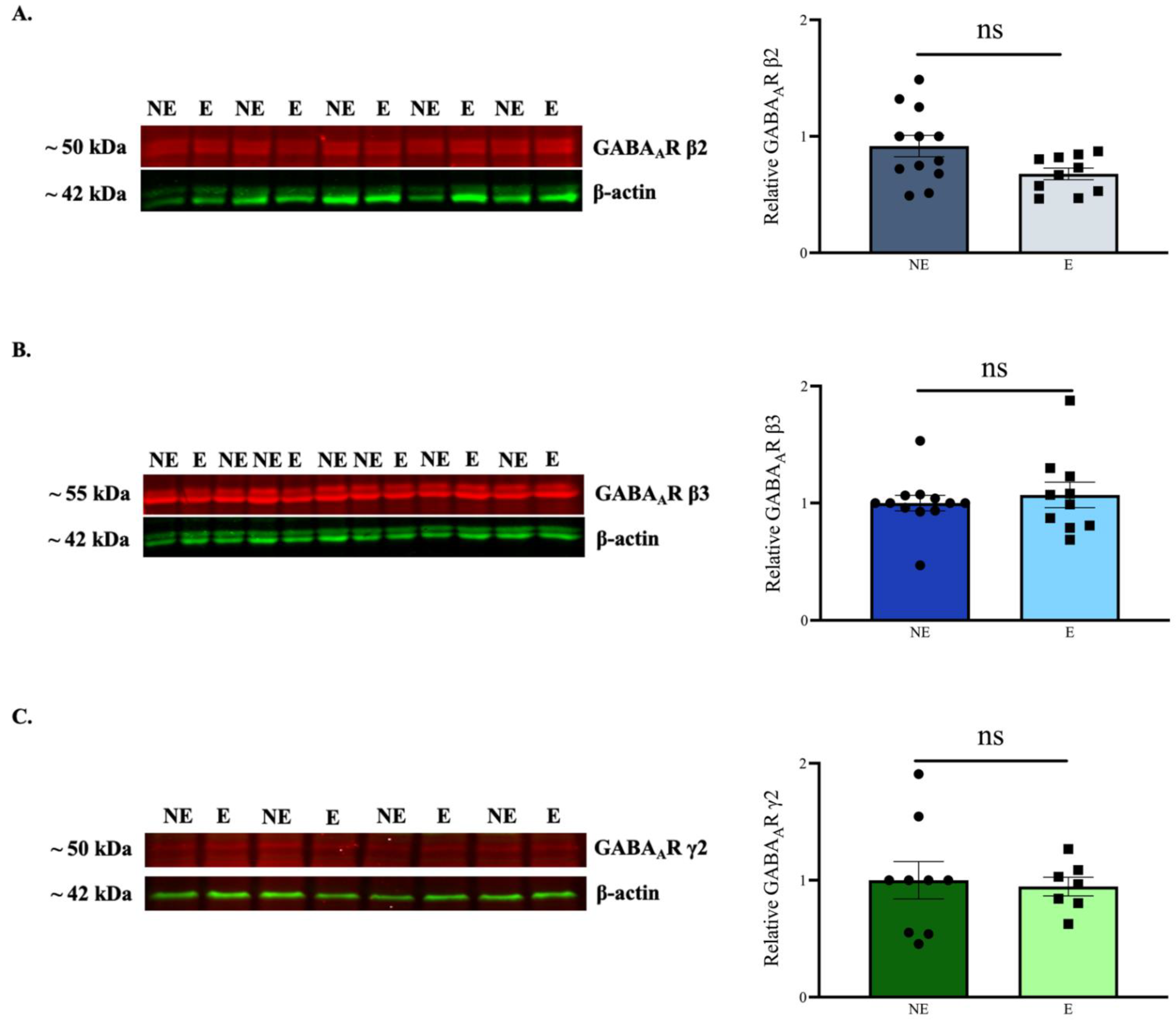 Ijms 23 15685 g004 Ijms 23 15685 g004