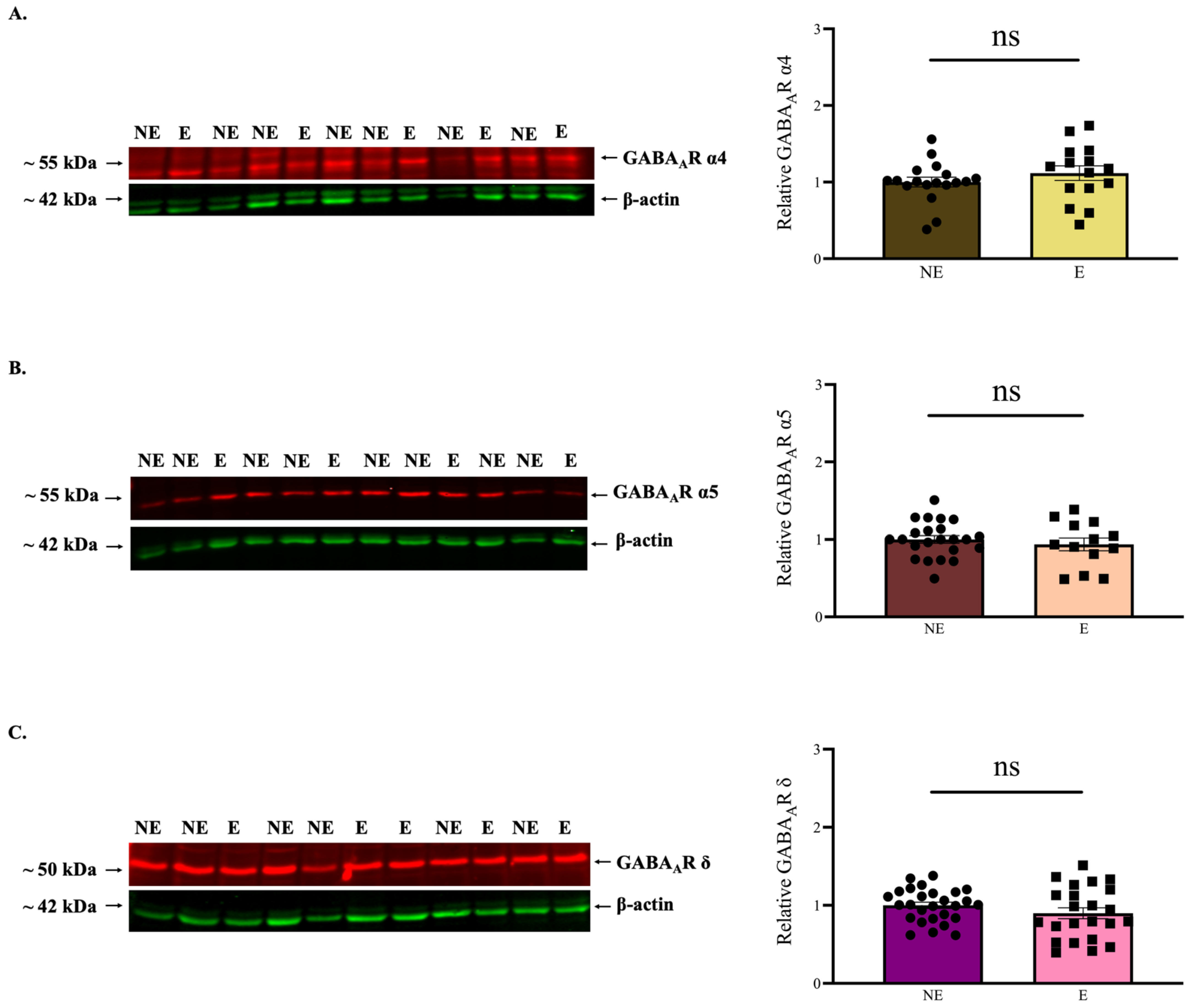 Ijms 23 15685 g005 Ijms 23 15685 g005