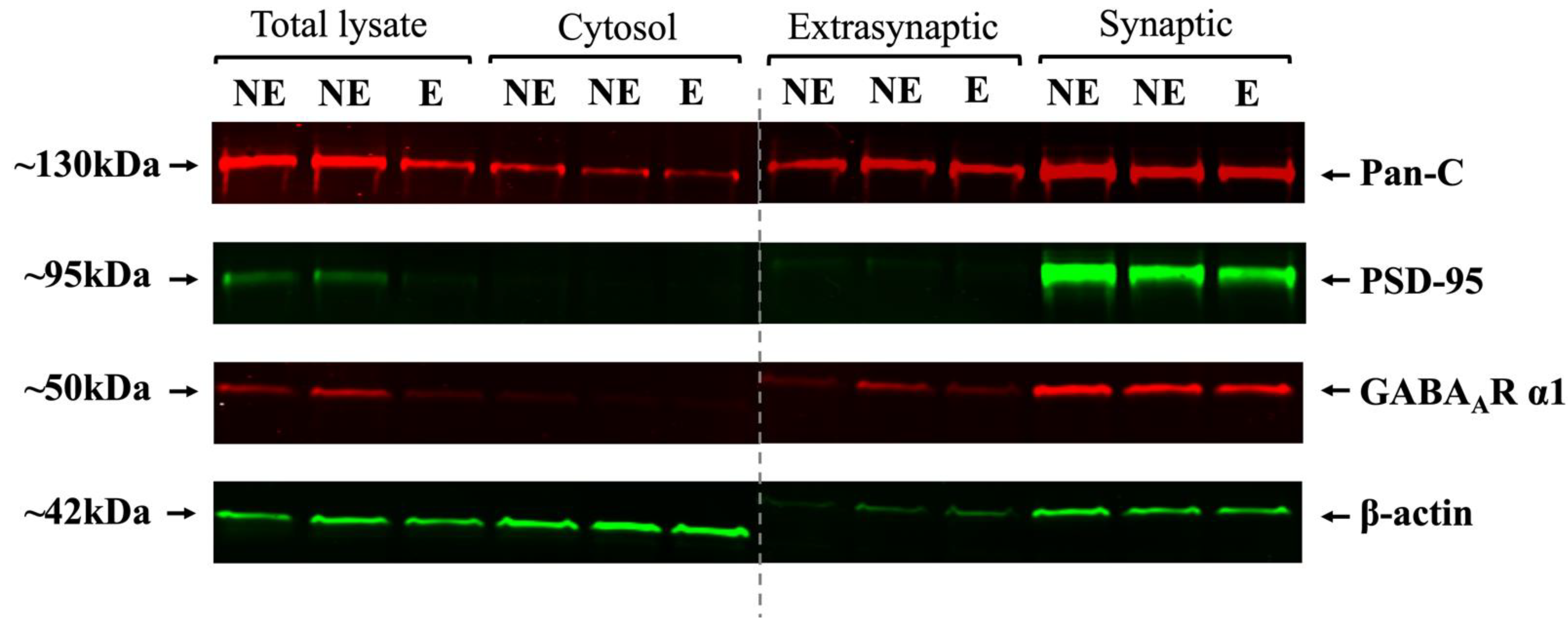 Ijms 23 15685 g006 Ijms 23 15685 g006