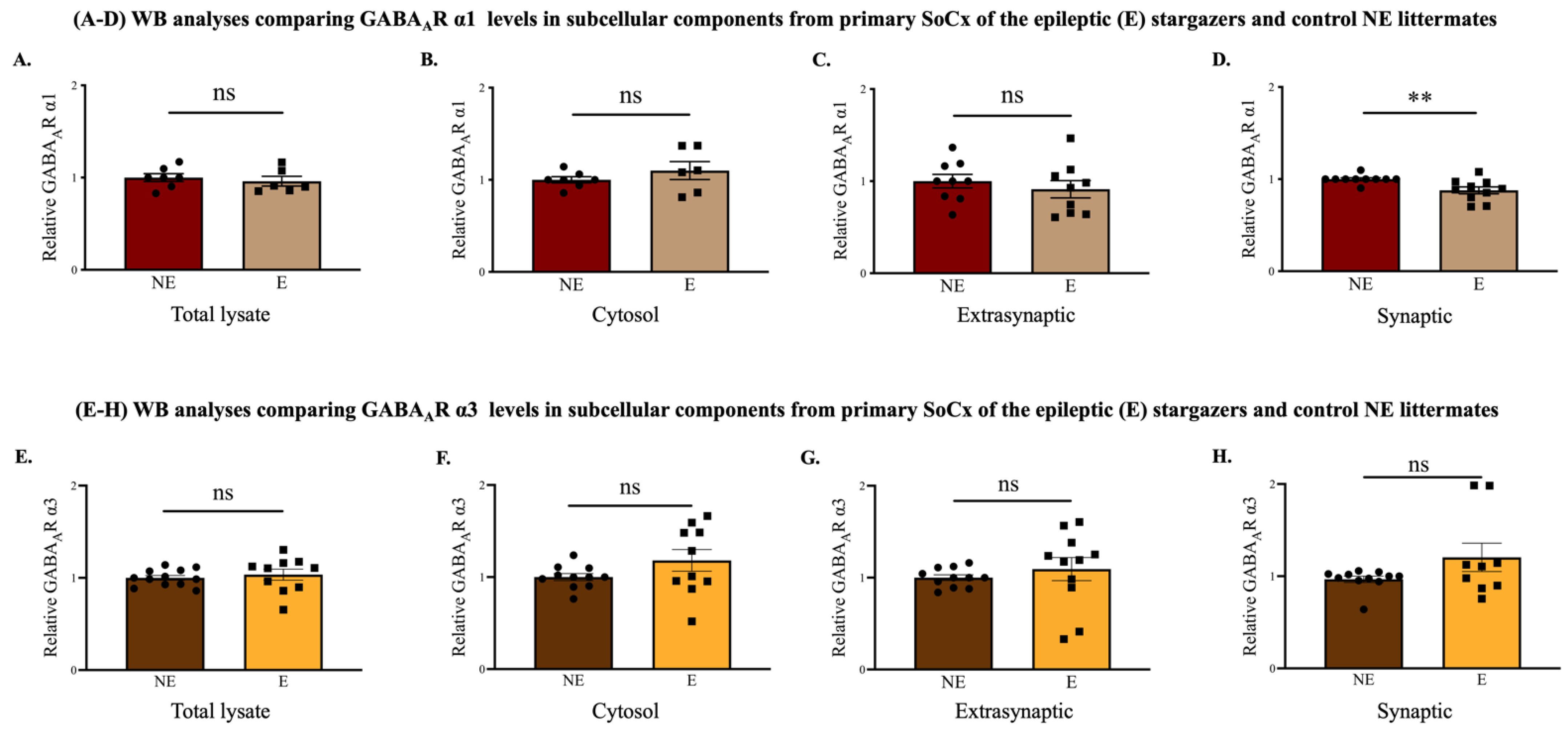 Ijms 23 15685 g007 Ijms 23 15685 g007