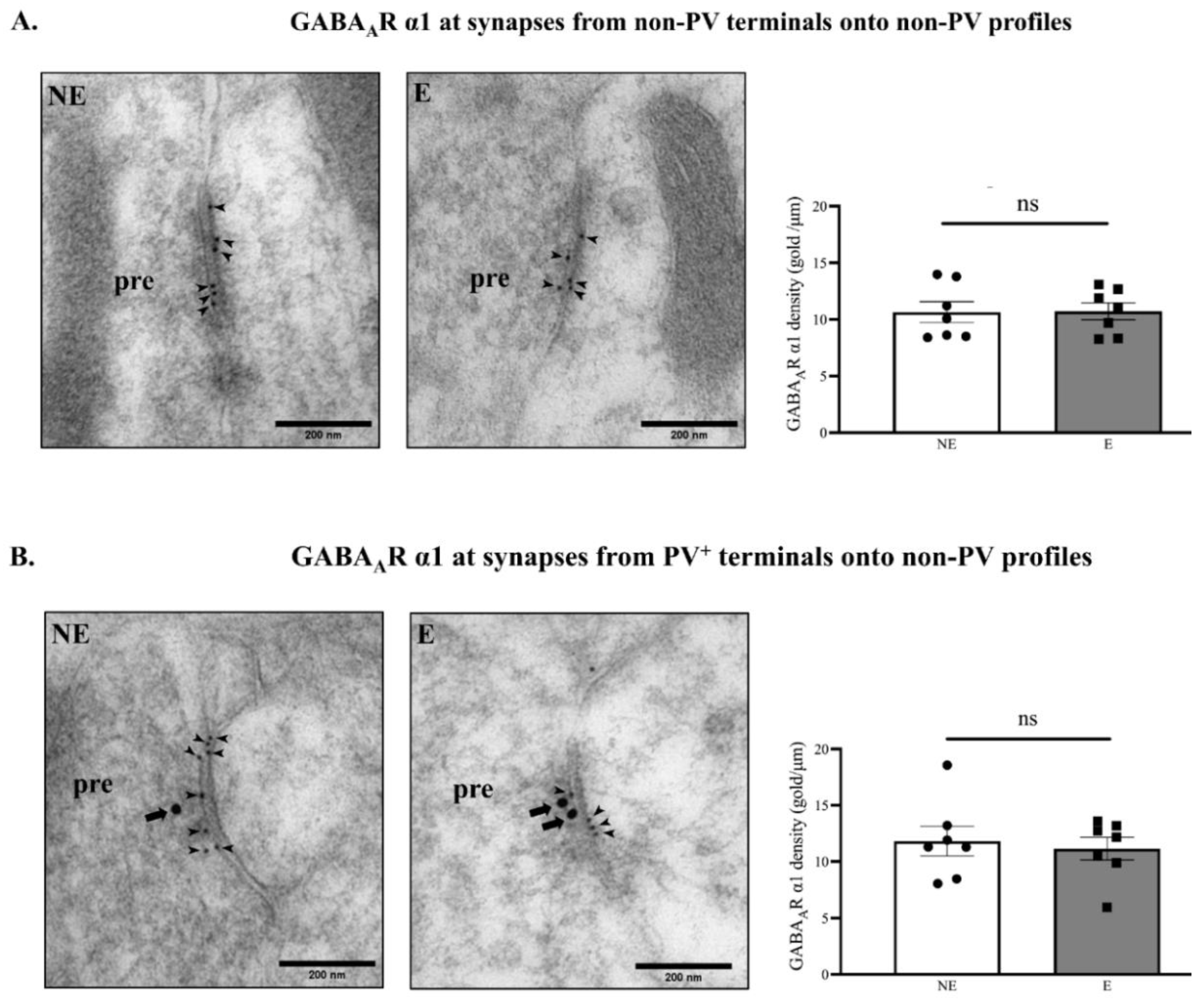 Ijms 23 15685 g009 Ijms 23 15685 g009