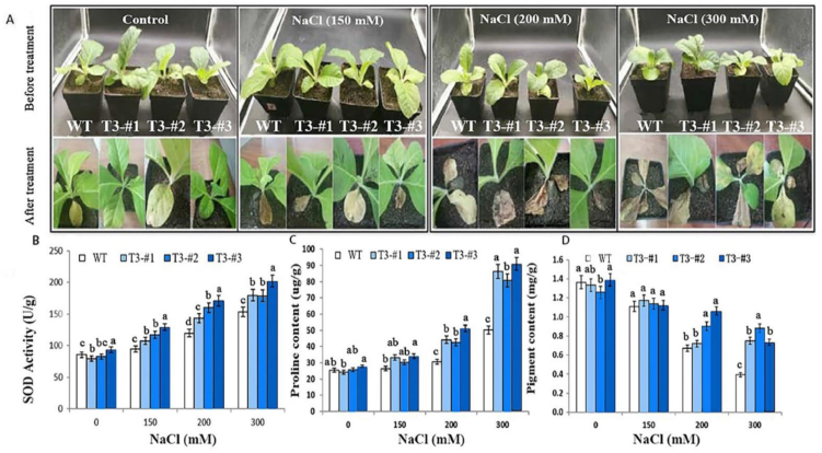 Ijms 23 15686 g006 Ijms 23 15686 g006