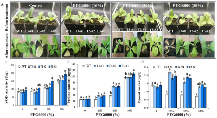 Ijms 23 15686 g008 Ijms 23 15686 g008