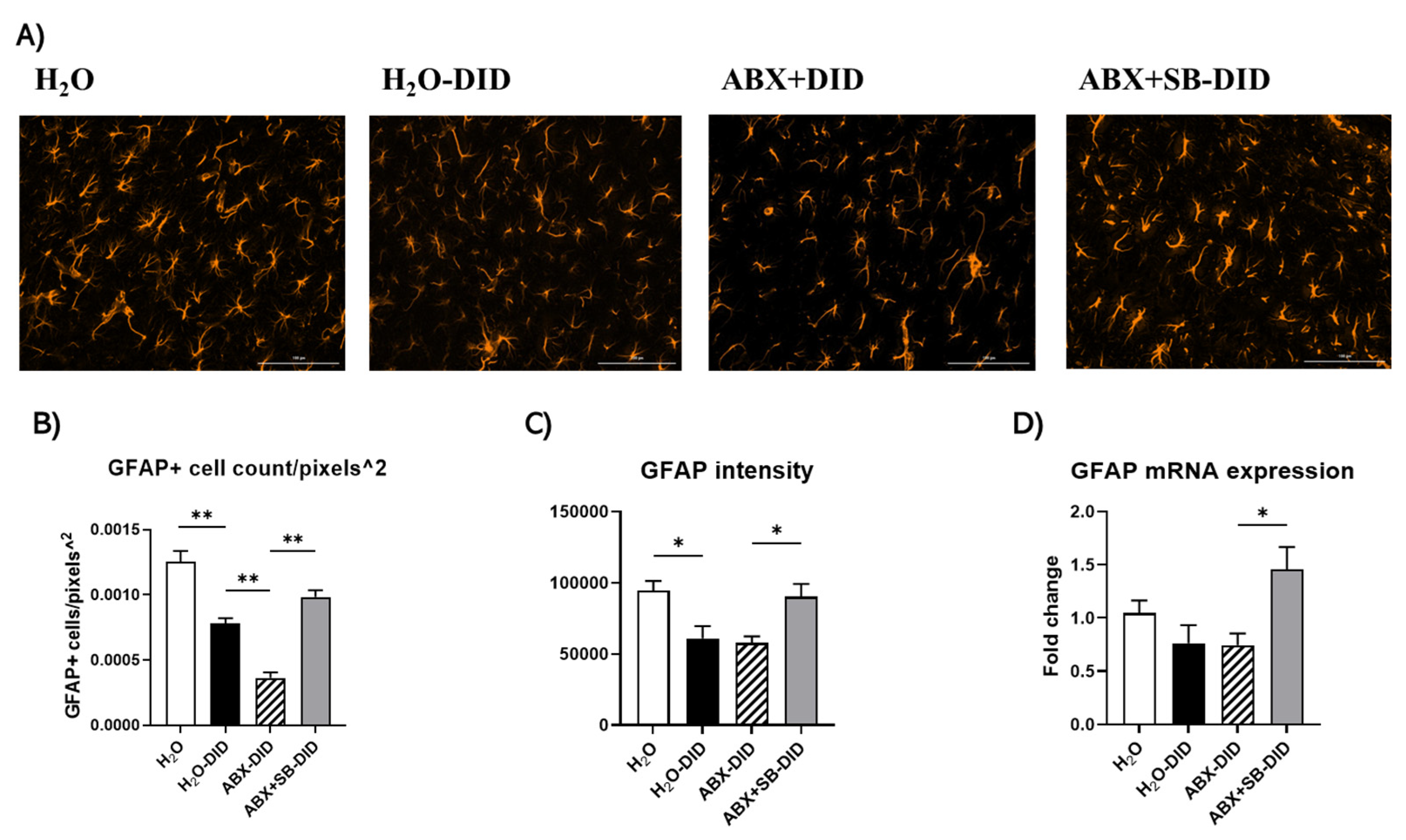 Ijms 23 15688 g004 Ijms 23 15688 g004