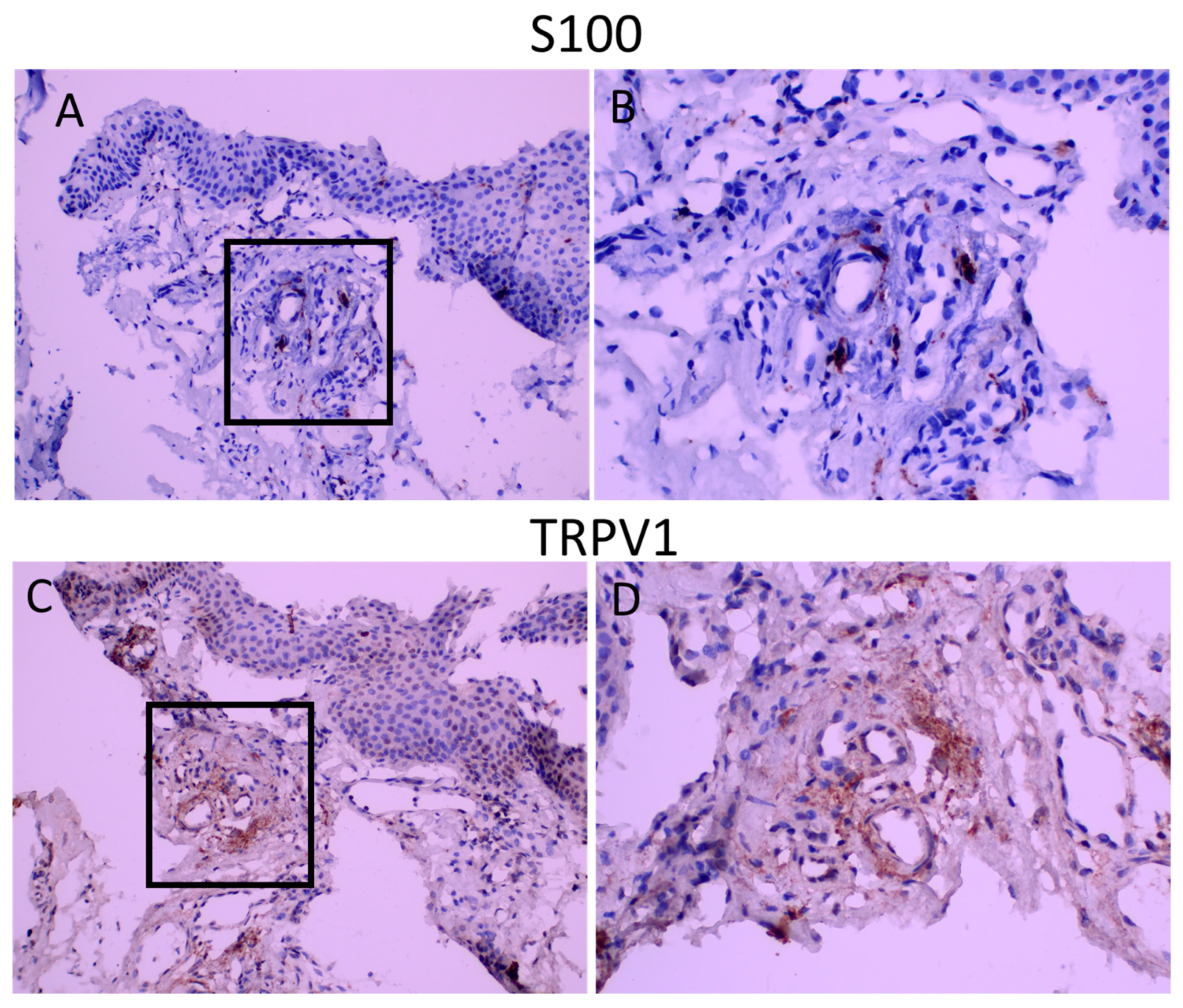 Ijms 23 15692 g003 Ijms 23 15692 g003