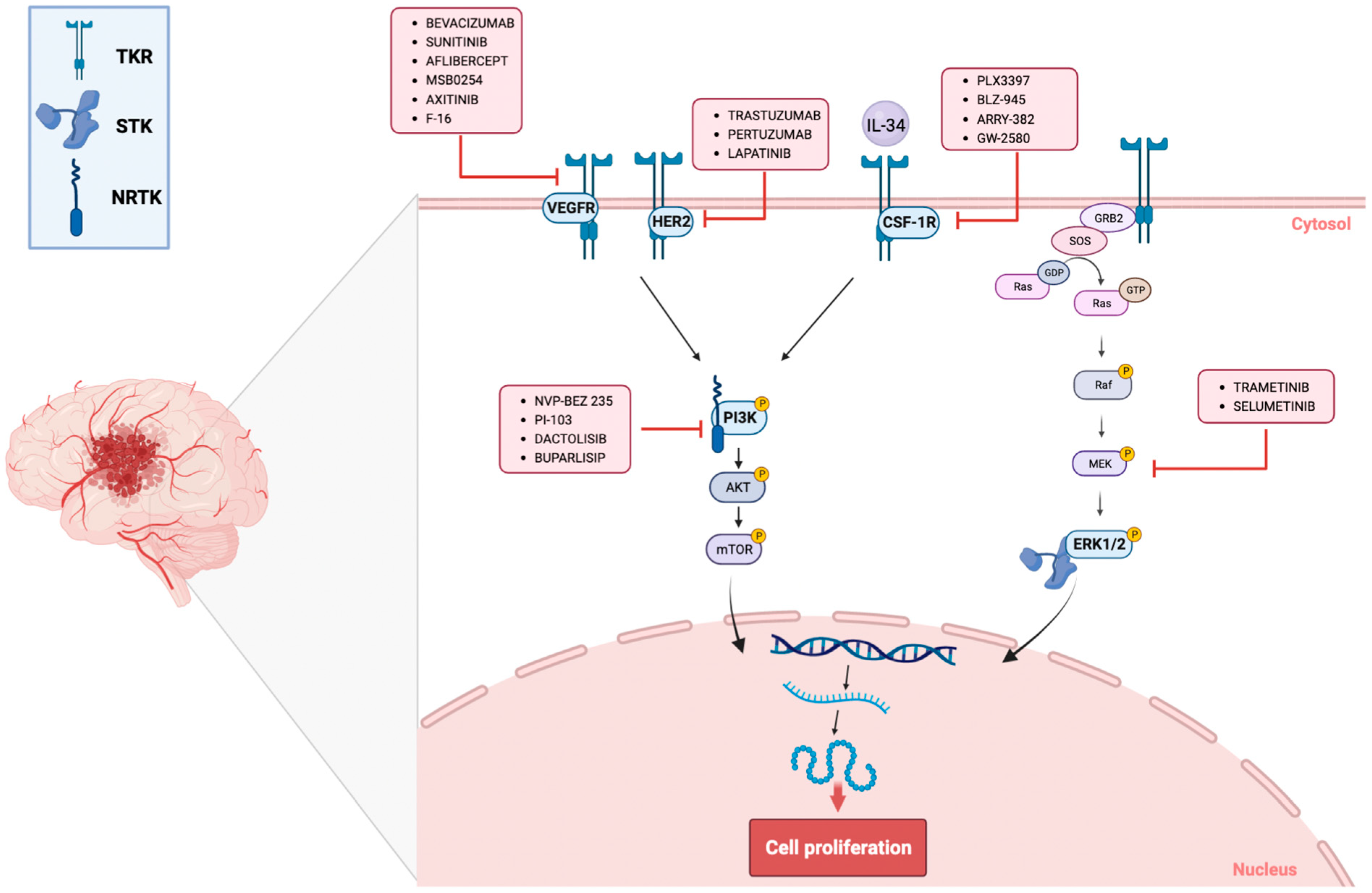Protein Kinase Inhibitors as a New Target for Biology Diagrams
