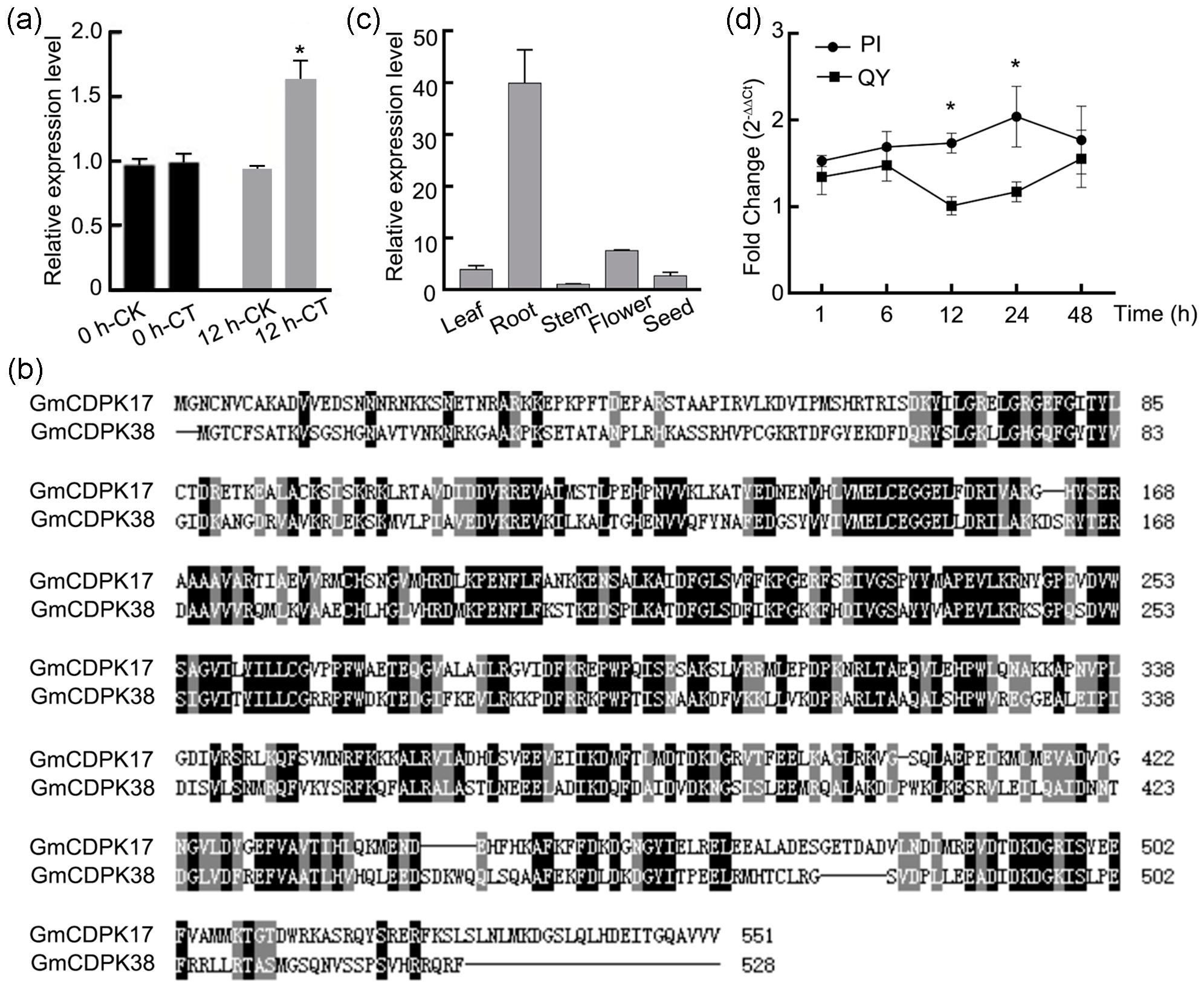 Ijms 23 15696 g001 Ijms 23 15696 g001