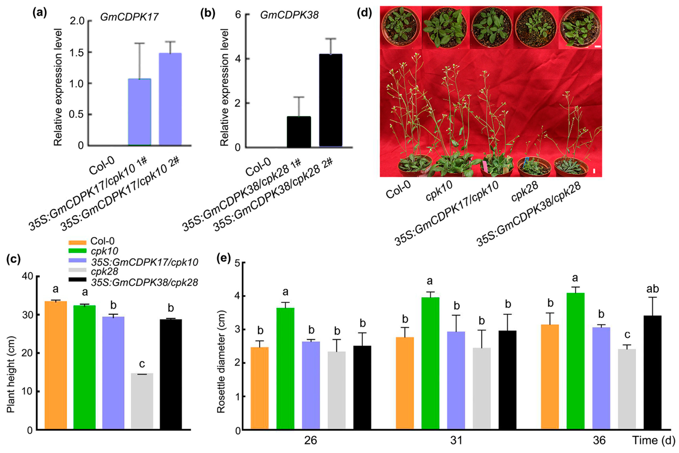 Ijms 23 15696 g003 Ijms 23 15696 g003