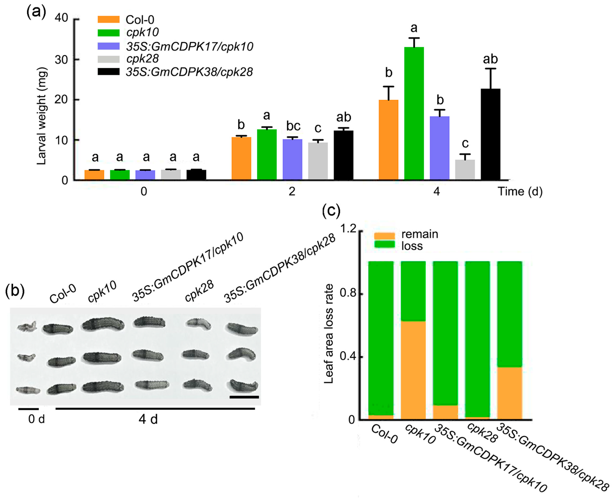 Ijms 23 15696 g004 Ijms 23 15696 g004