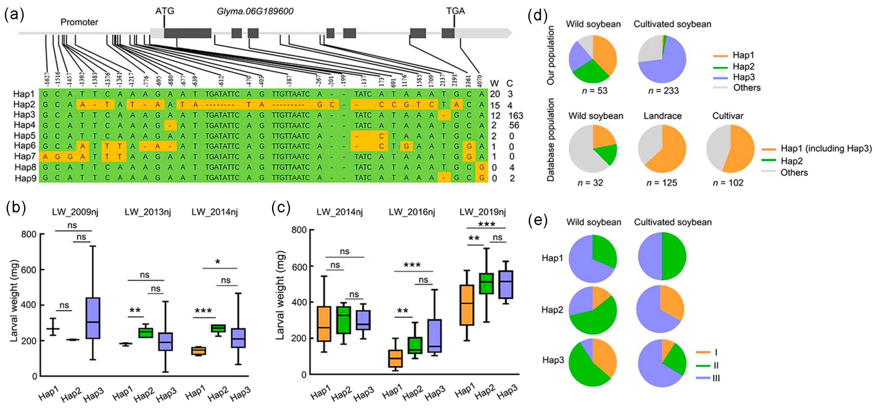 Ijms 23 15696 g007 Ijms 23 15696 g007