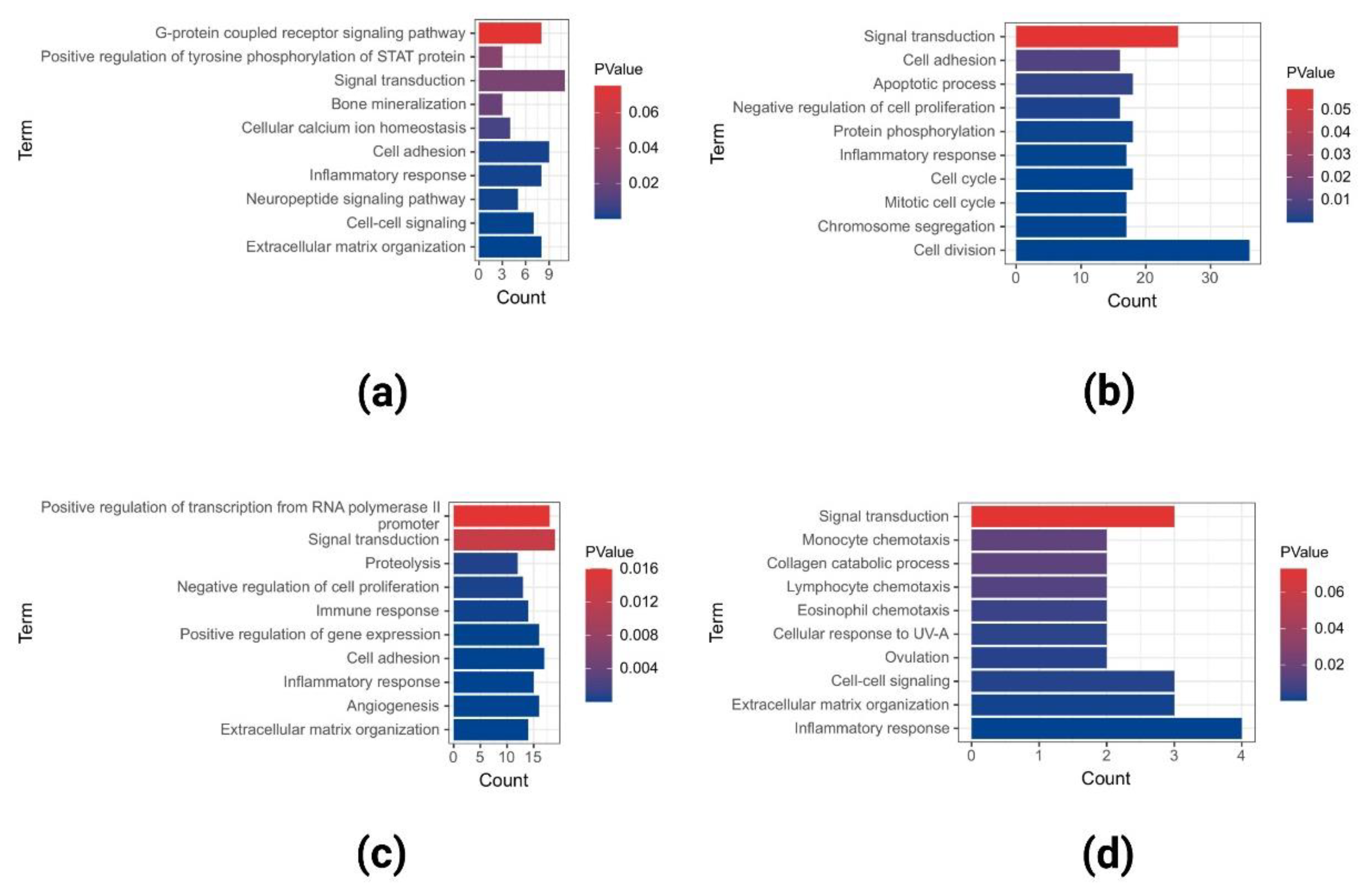 Ijms 23 15701 g004 Ijms 23 15701 g004