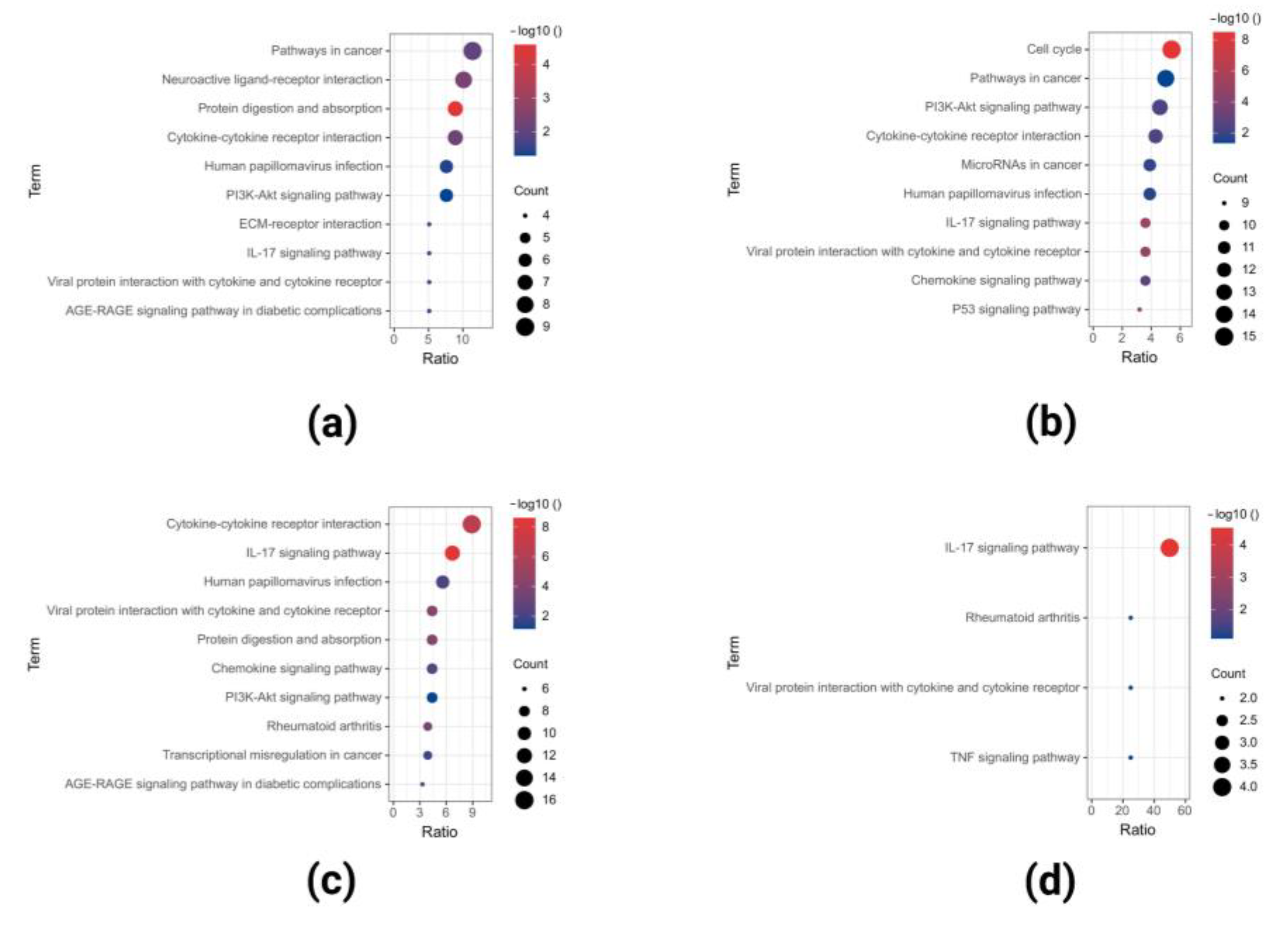 Ijms 23 15701 g005 Ijms 23 15701 g005