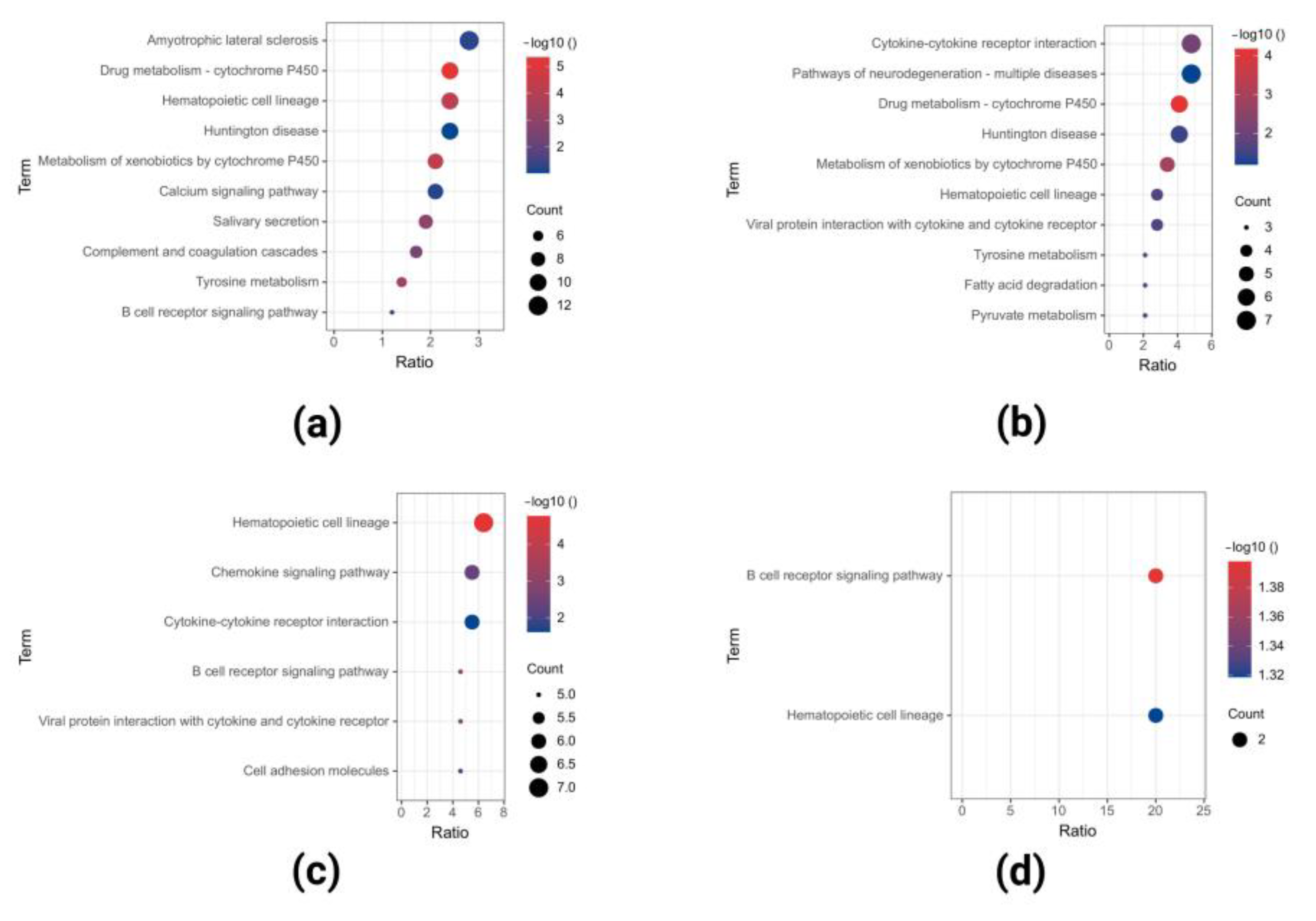 Ijms 23 15701 g007 Ijms 23 15701 g007