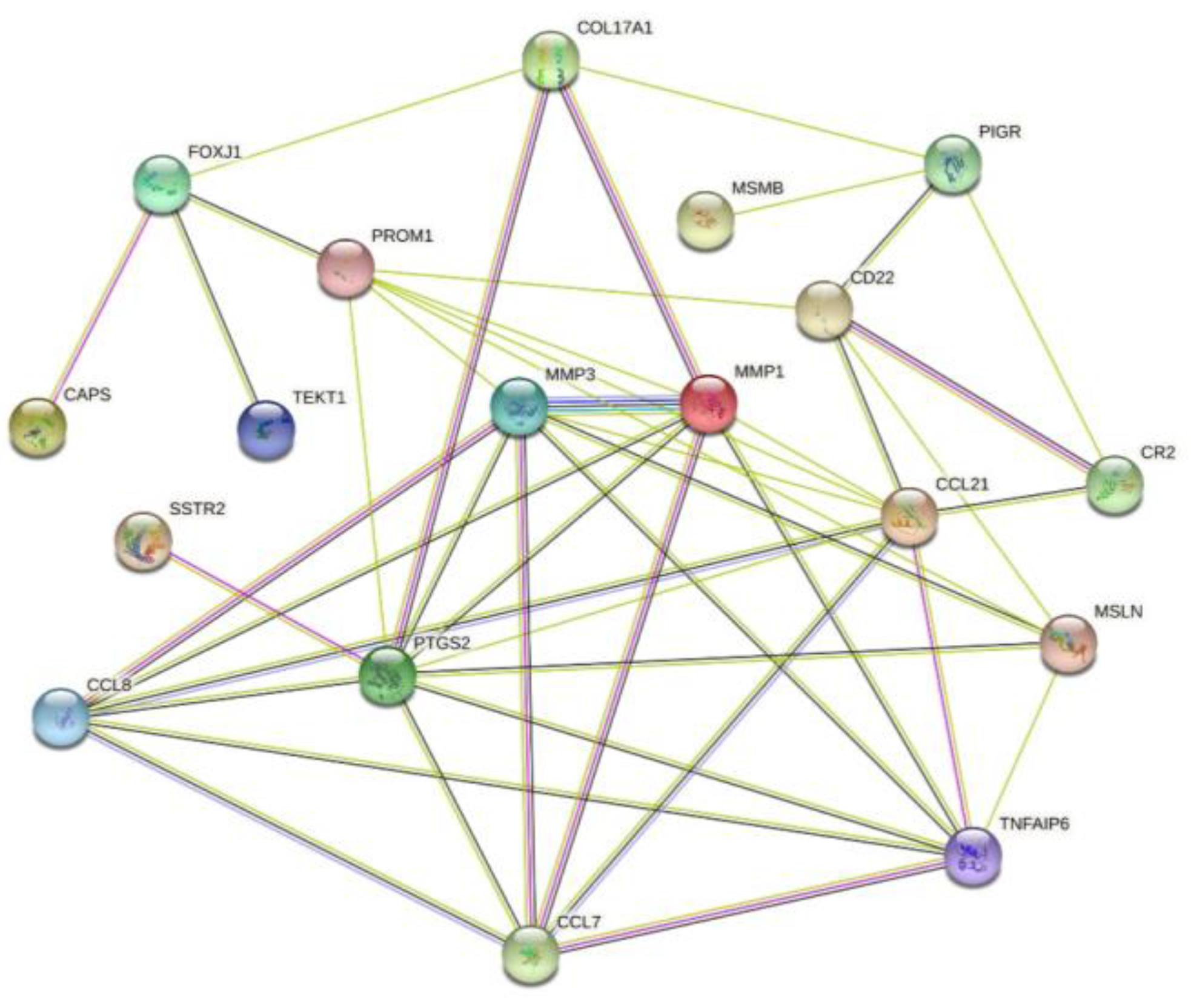 Ijms 23 15701 g008 Ijms 23 15701 g008