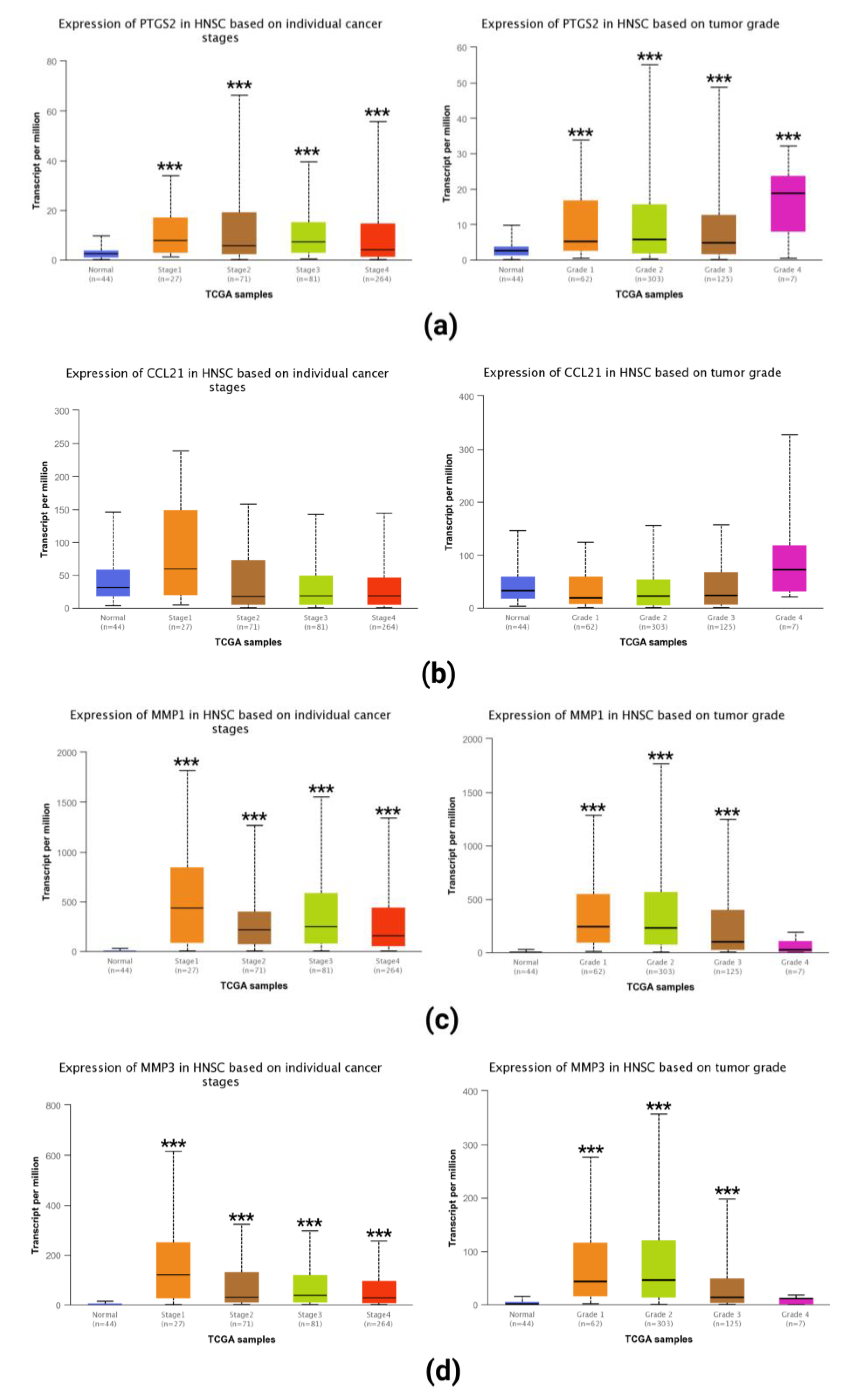 Ijms 23 15701 g009 Ijms 23 15701 g009