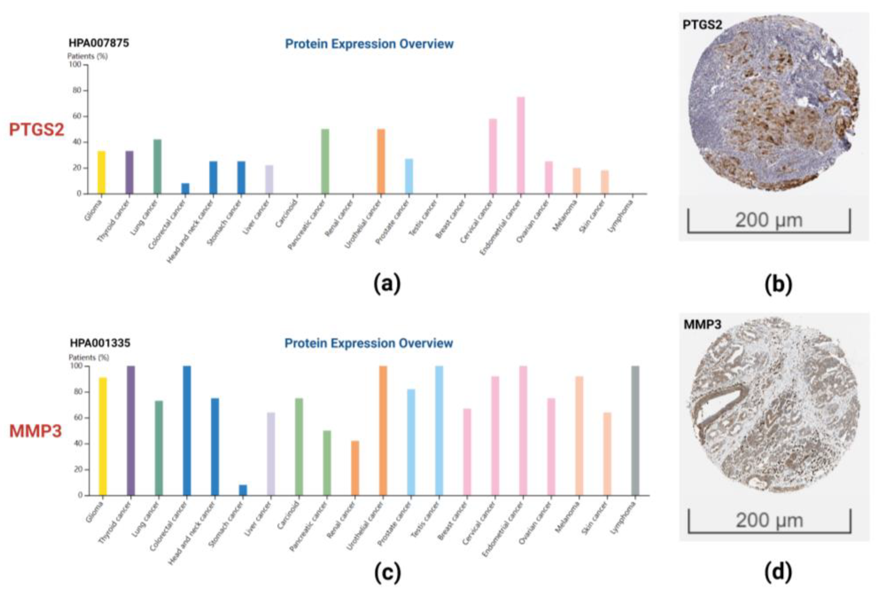 Ijms 23 15701 g010 Ijms 23 15701 g010
