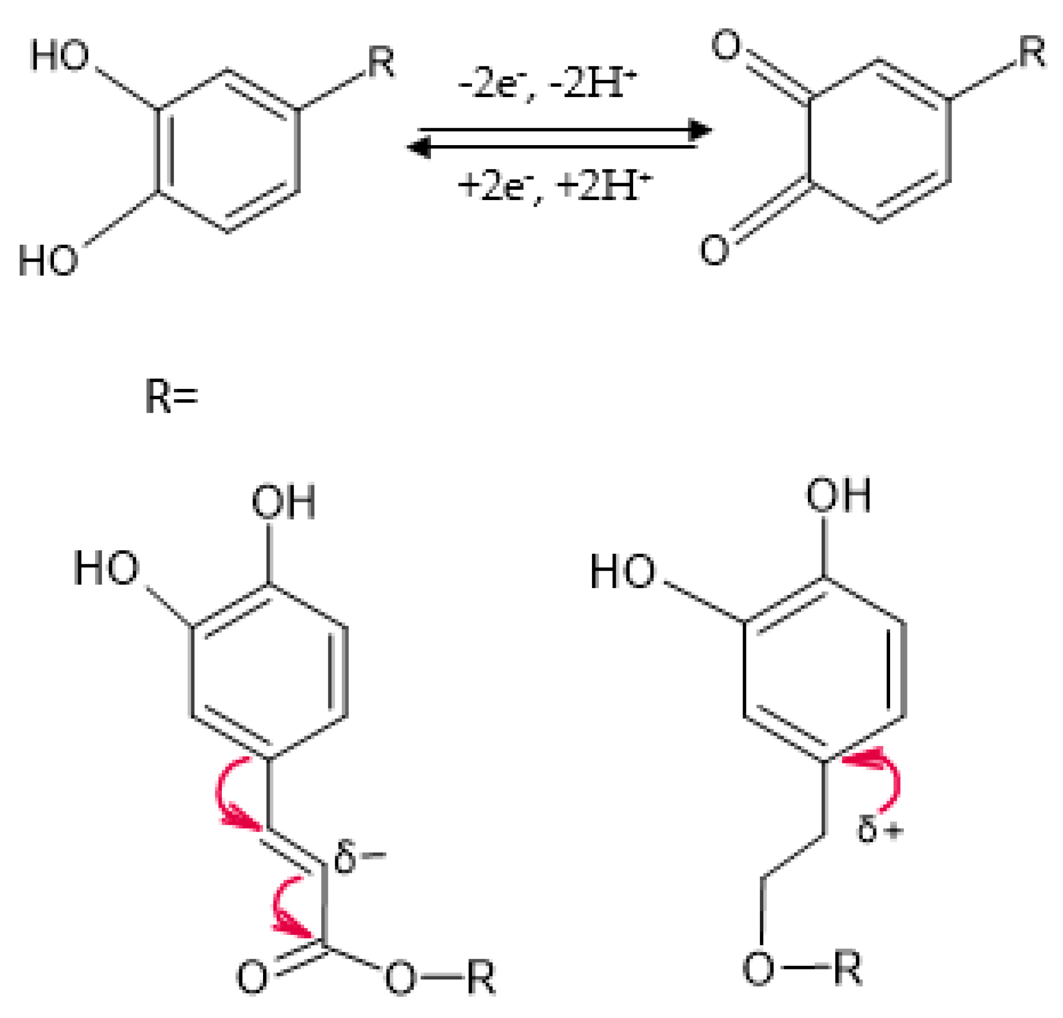 Ijms 23 15704 g009 Ijms 23 15704 g009