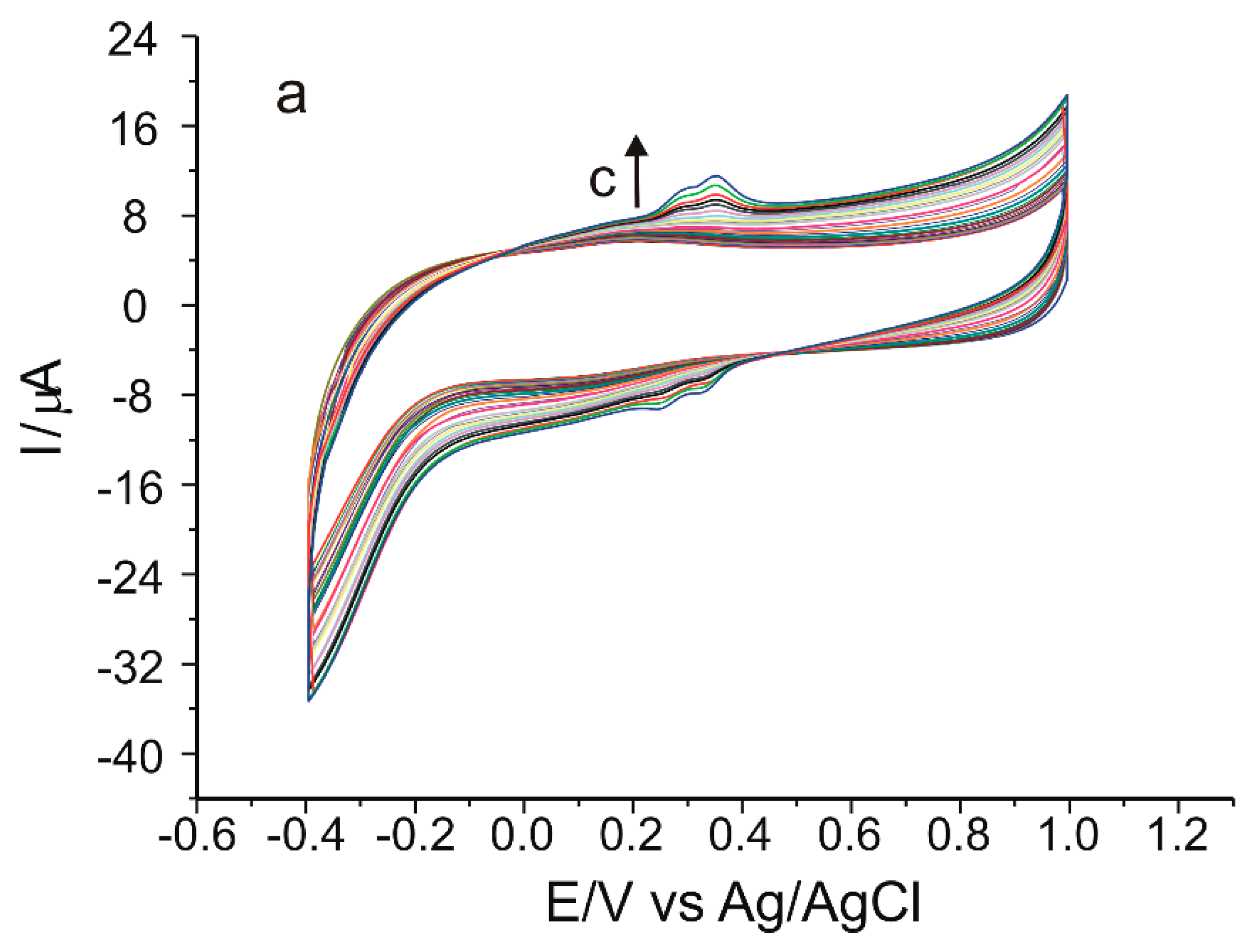 Ijms 23 15704 g011a Ijms 23 15704 g011a