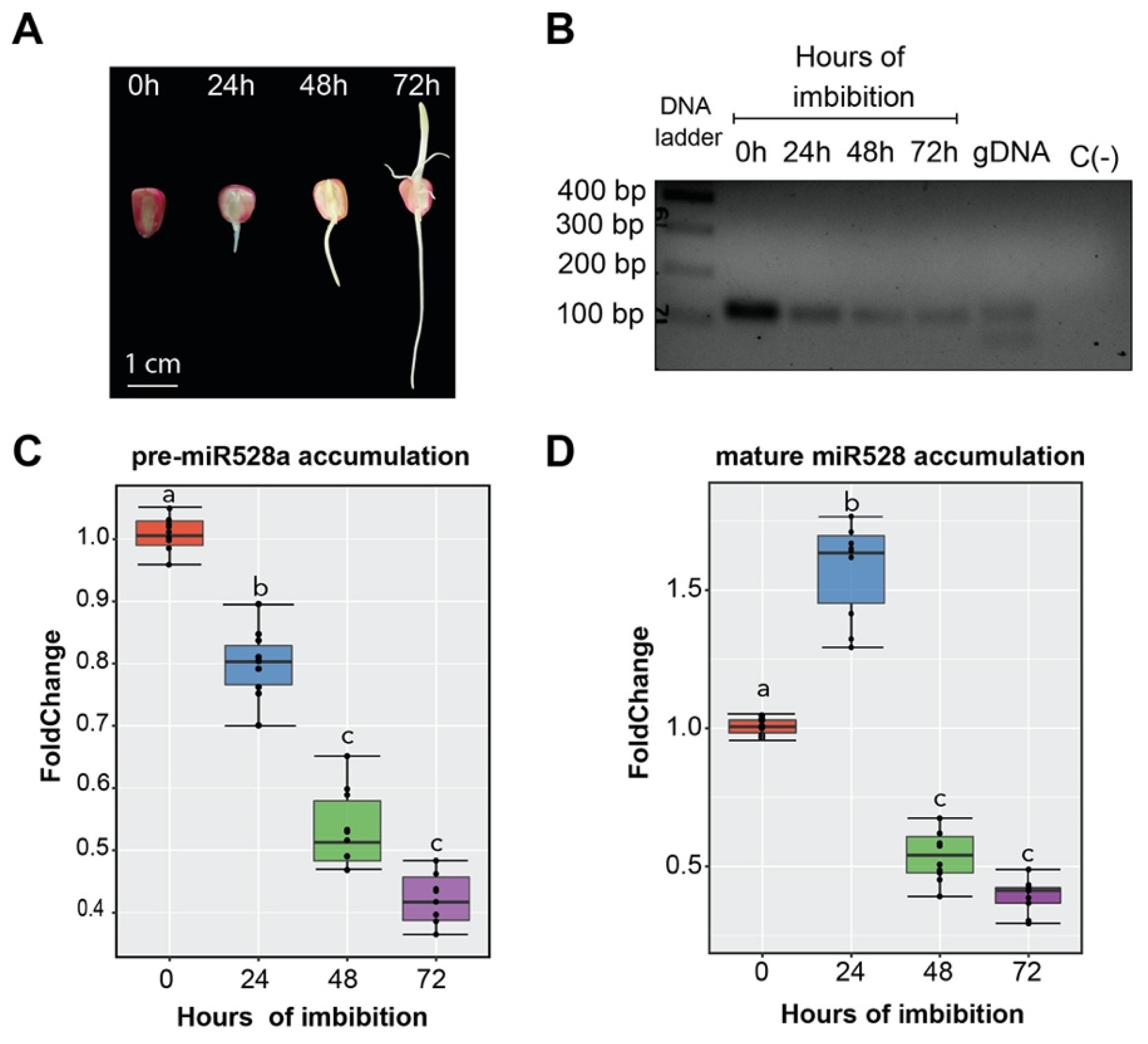 Ijms 23 15718 g003 Ijms 23 15718 g003