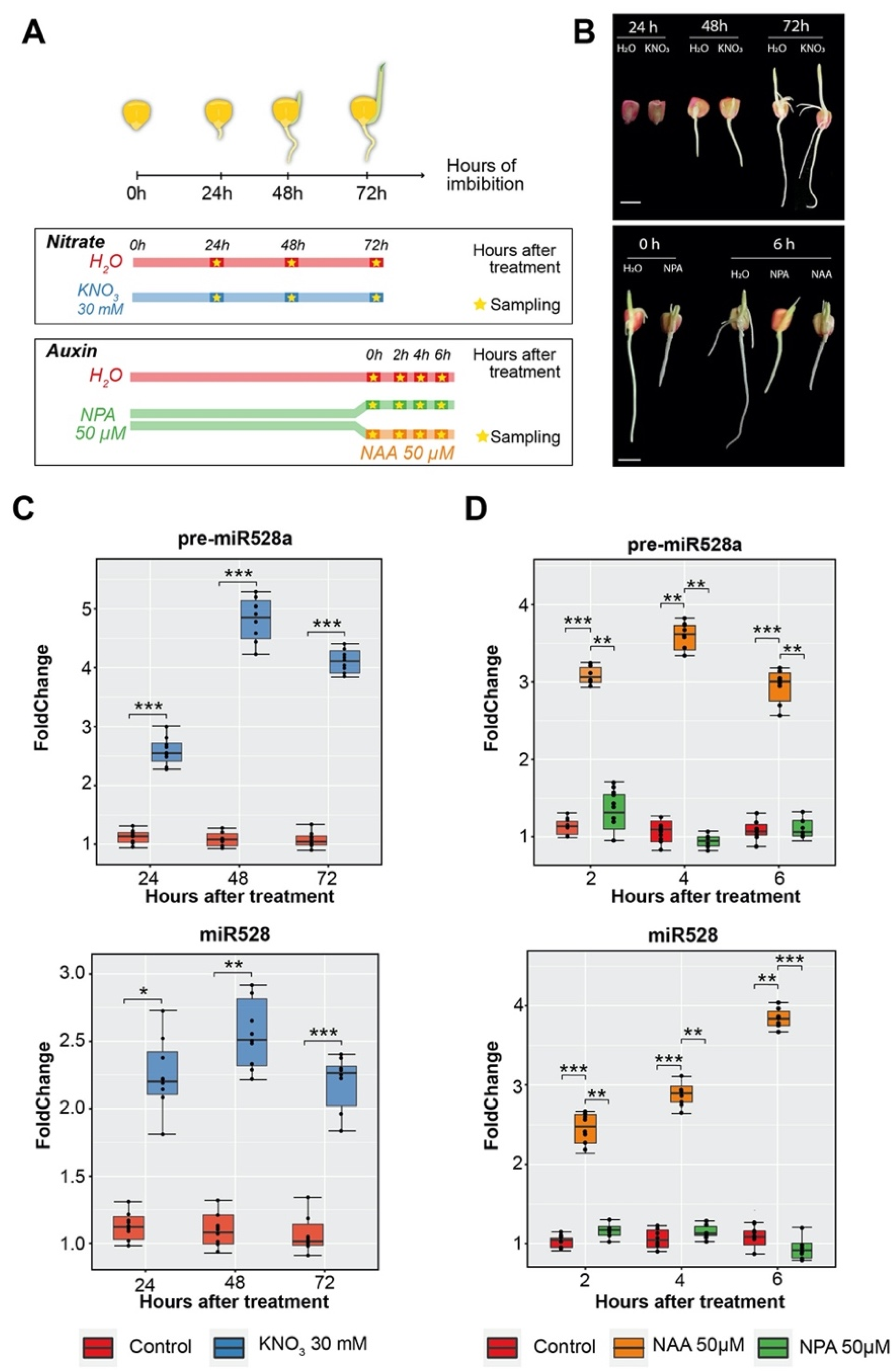 Ijms 23 15718 g004 Ijms 23 15718 g004