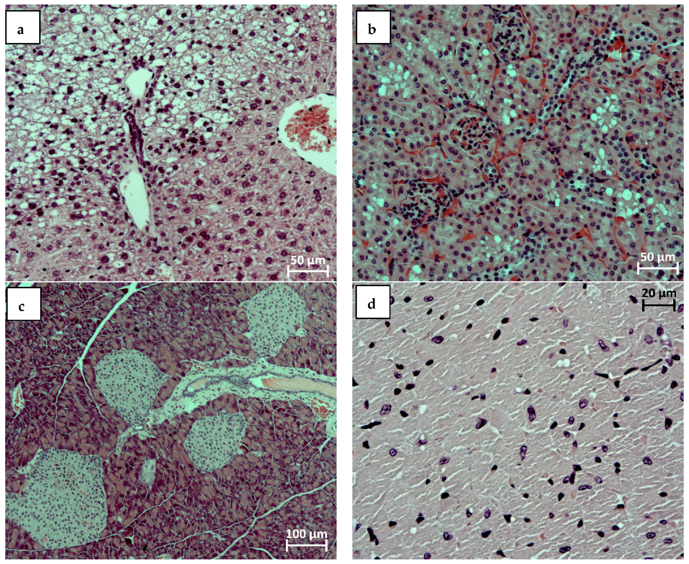 Ijms 23 15719 g002 Ijms 23 15719 g002