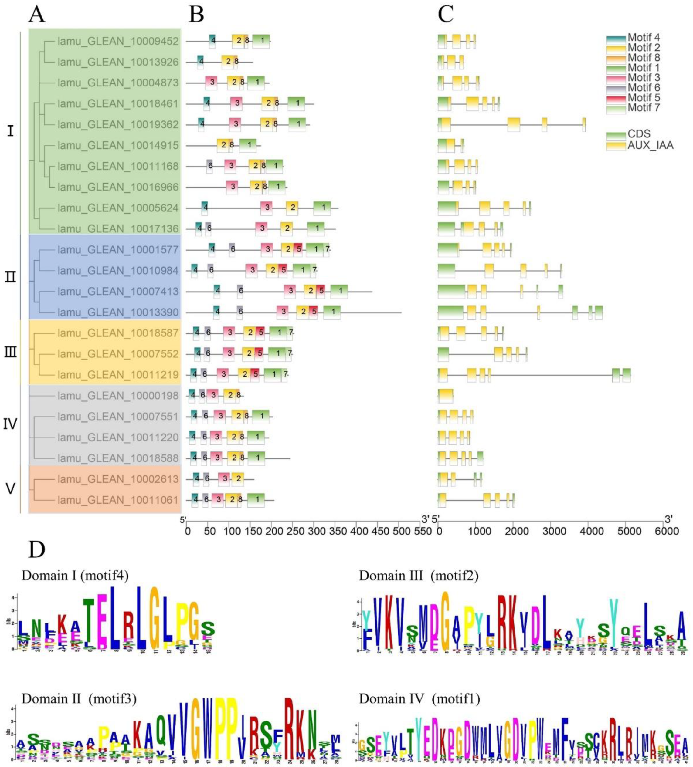 Ijms 23 15729 g001 Ijms 23 15729 g001