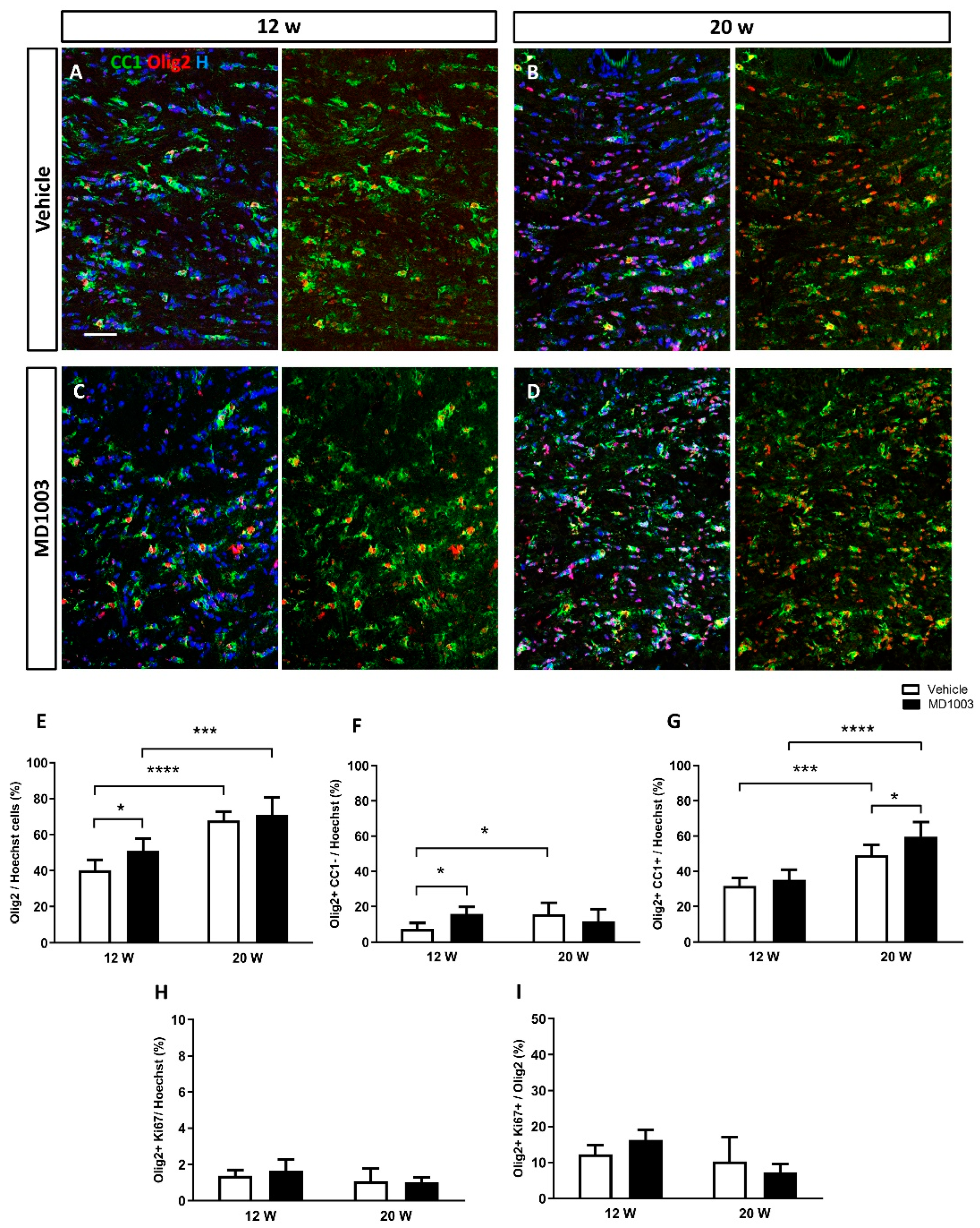 Ijms 23 15733 g001 Ijms 23 15733 g001
