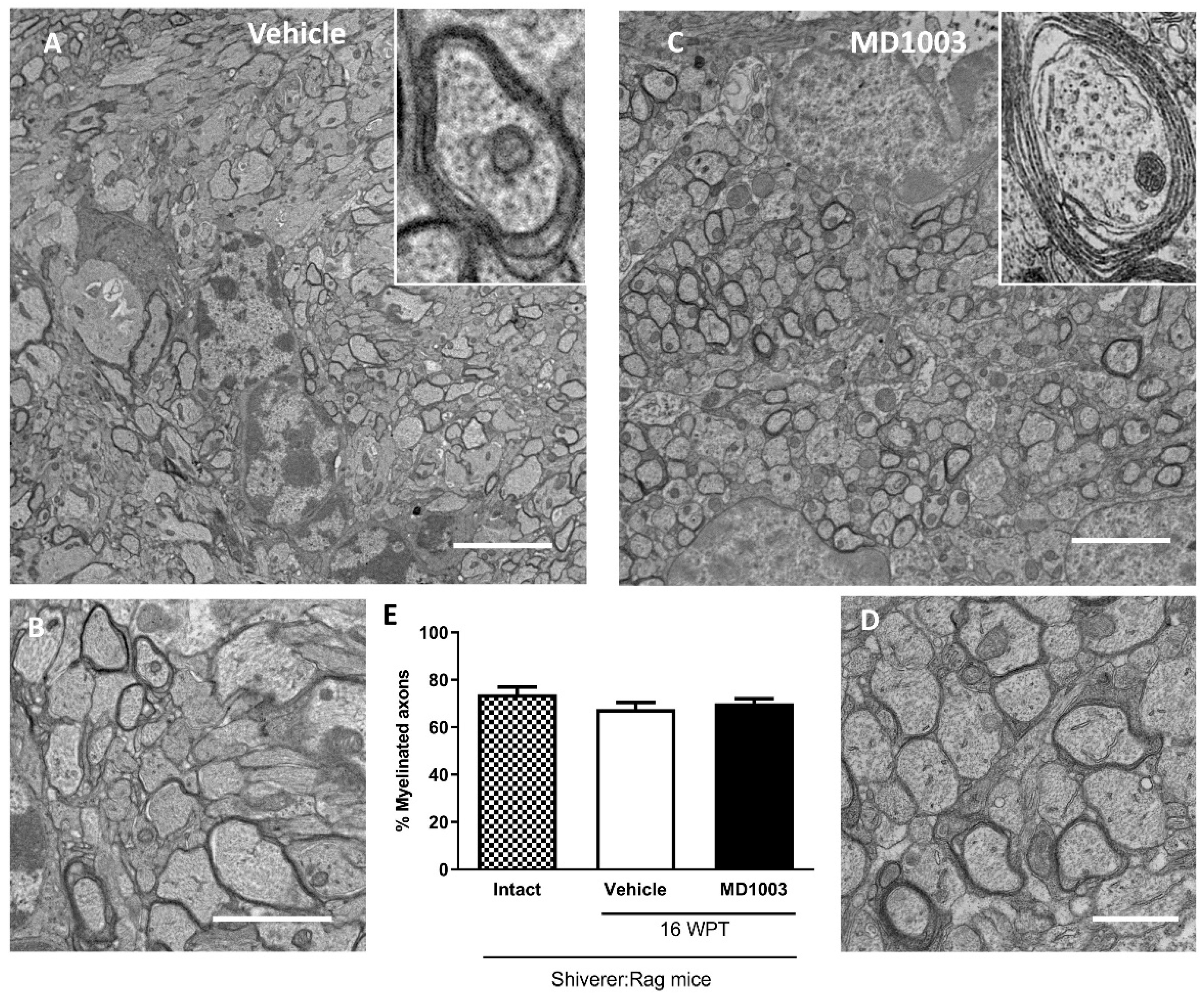 Ijms 23 15733 g002 Ijms 23 15733 g002