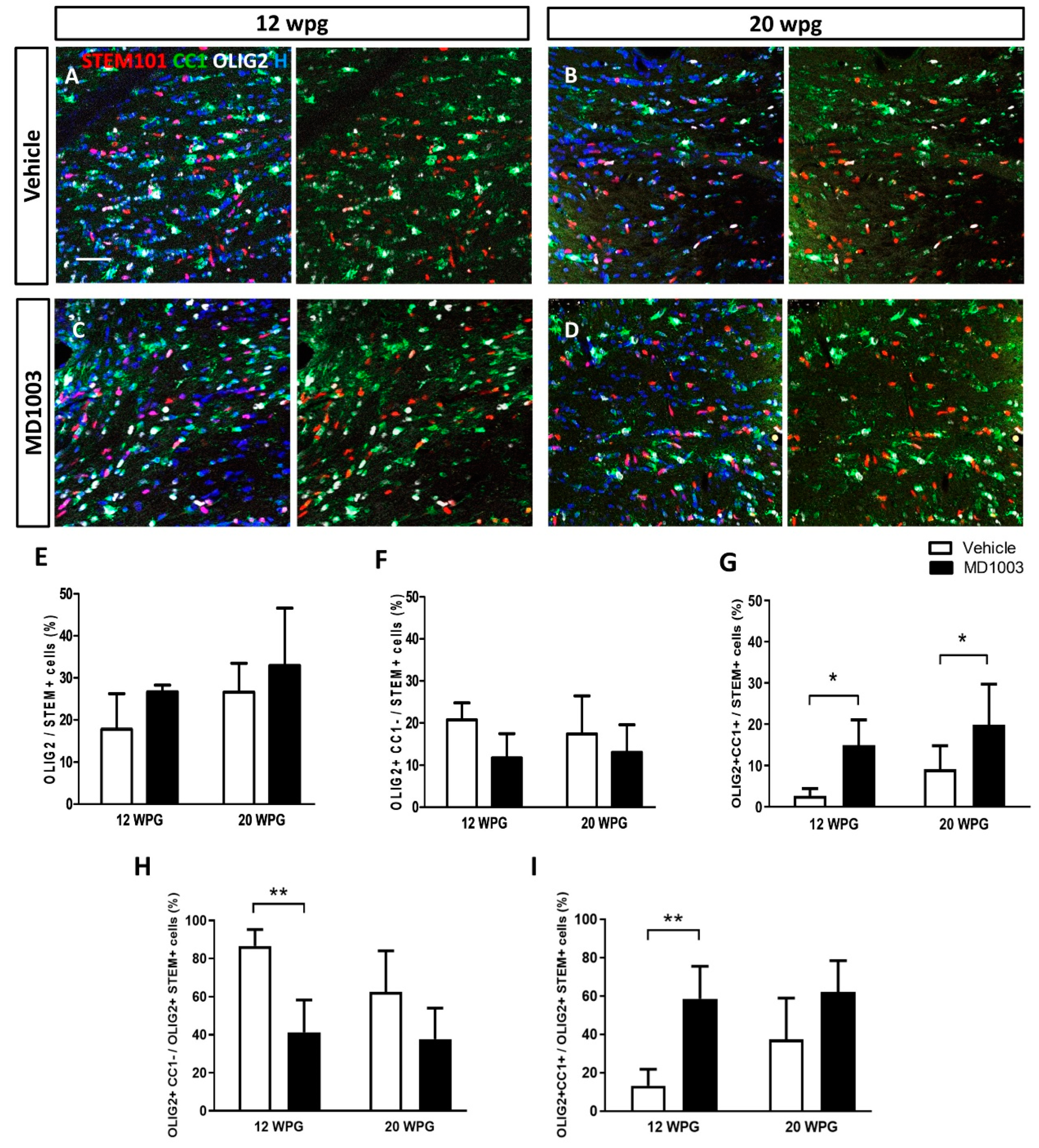 Ijms 23 15733 g004 Ijms 23 15733 g004