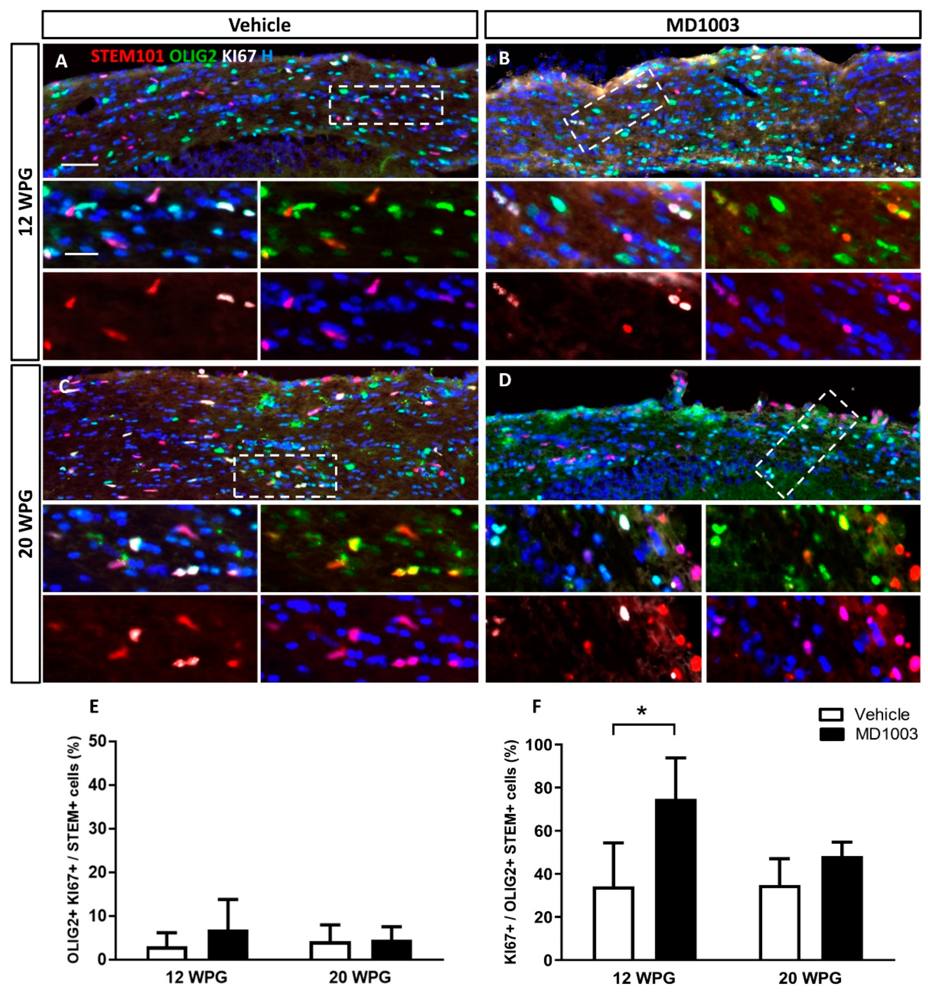 Ijms 23 15733 g005 Ijms 23 15733 g005