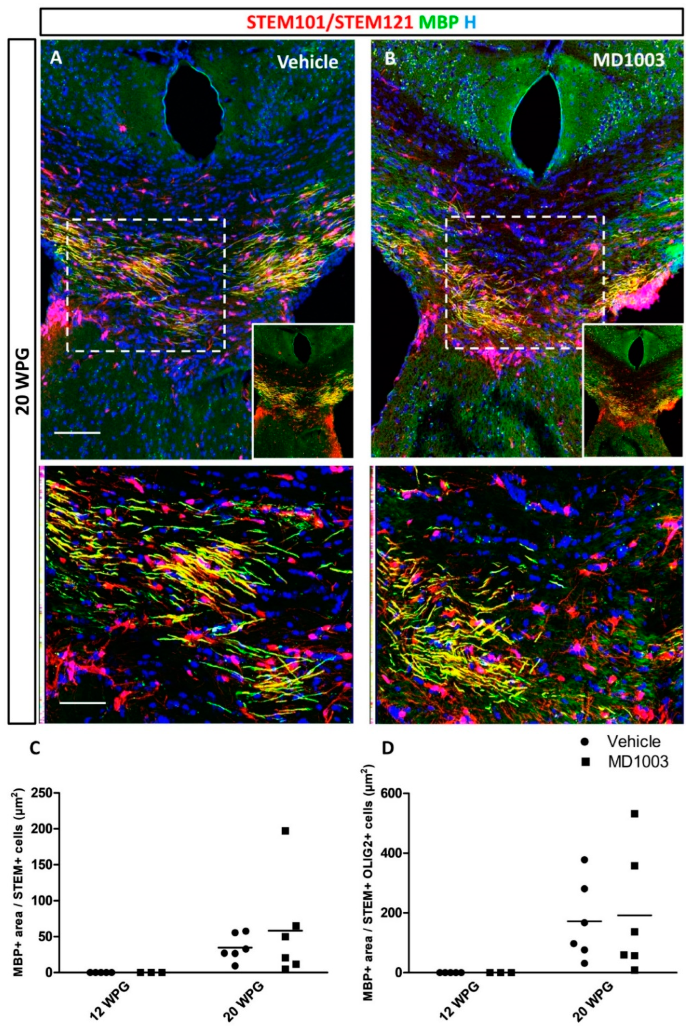 Ijms 23 15733 g006 Ijms 23 15733 g006