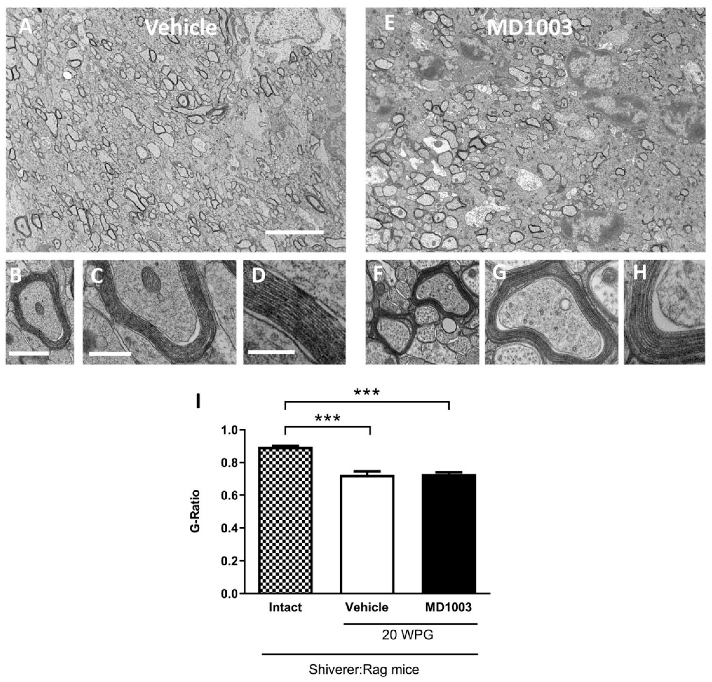 Ijms 23 15733 g007 Ijms 23 15733 g007