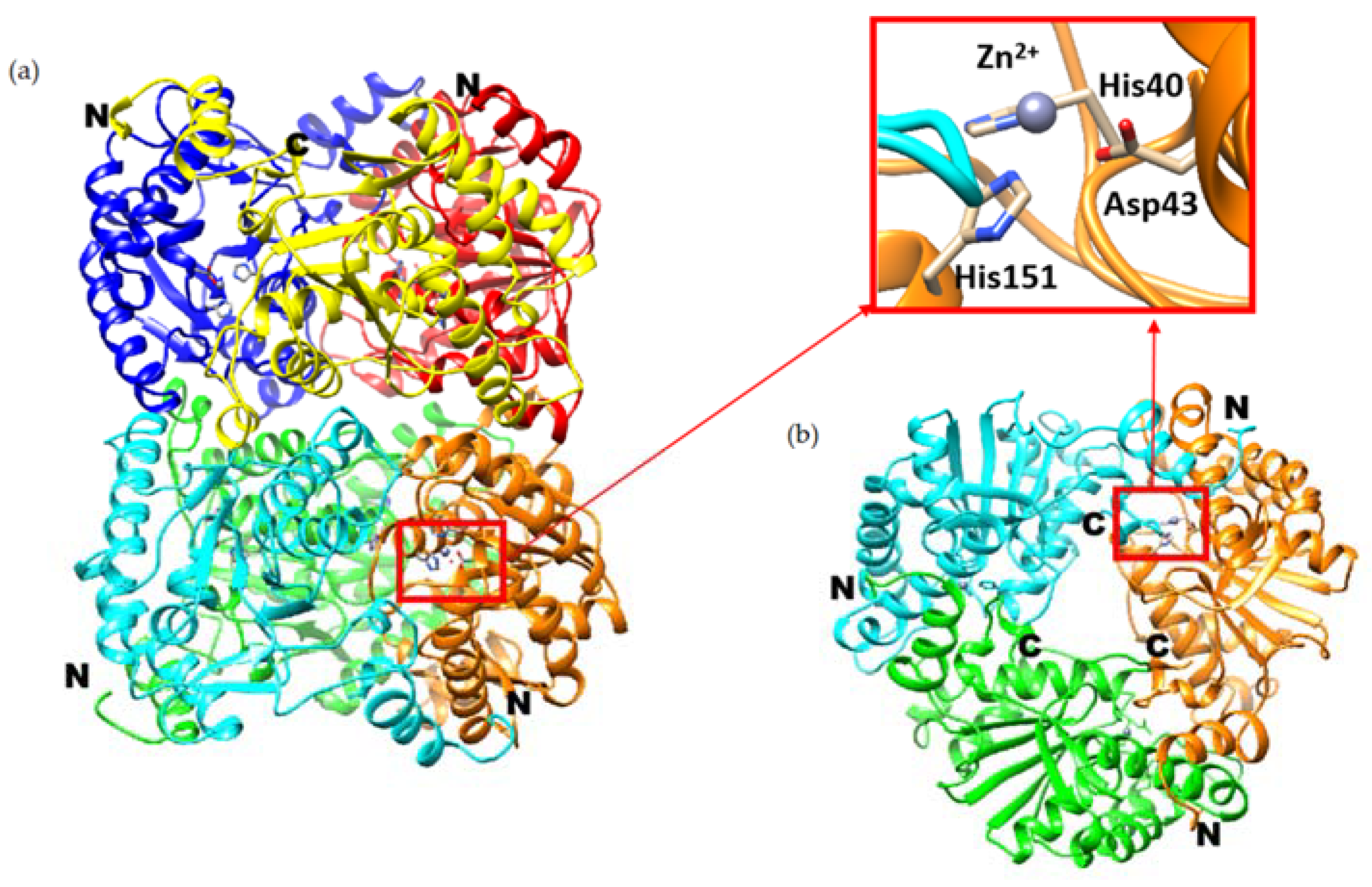 Ijms 23 15736 g001 Ijms 23 15736 g001