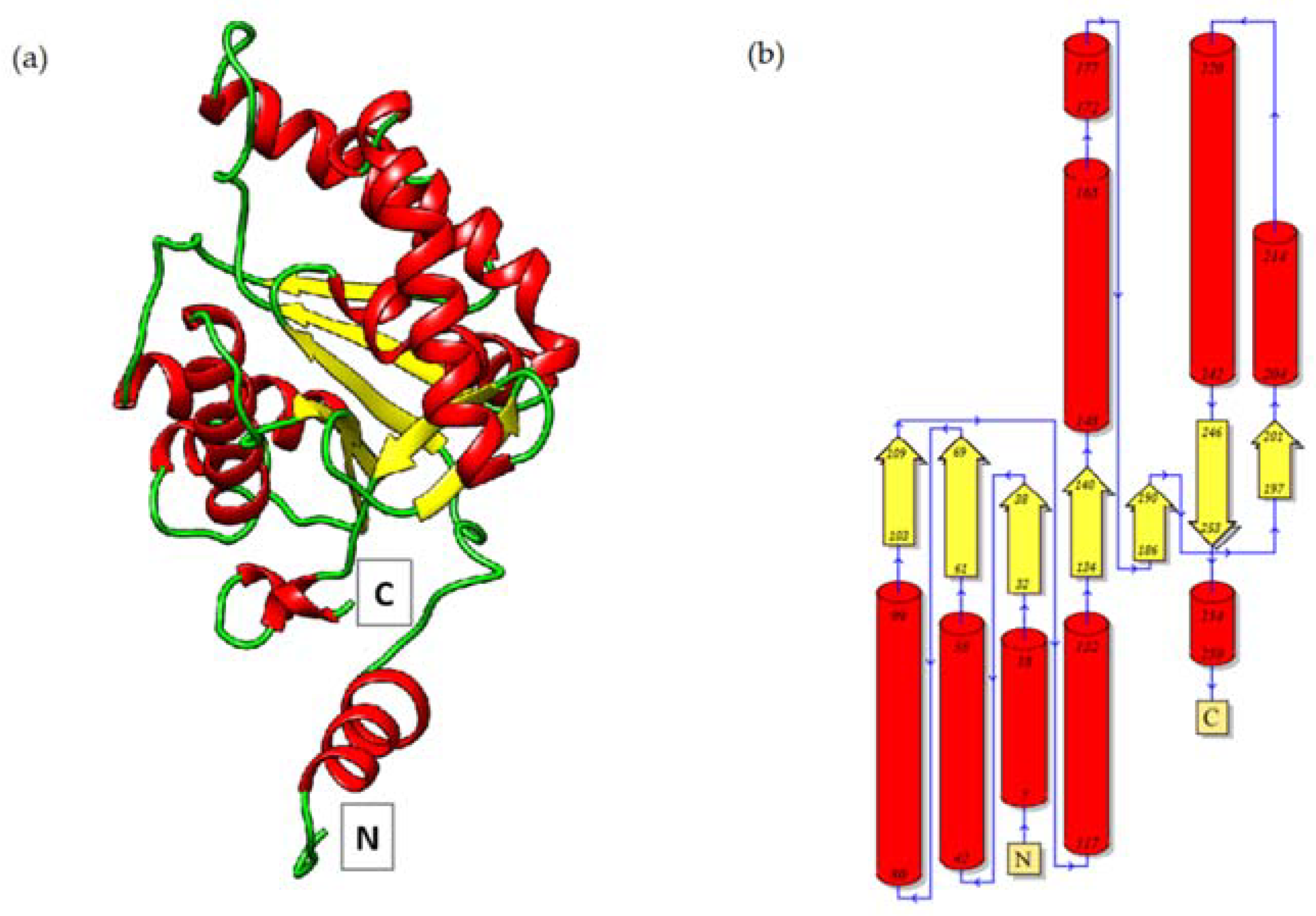 Ijms 23 15736 g002 Ijms 23 15736 g002
