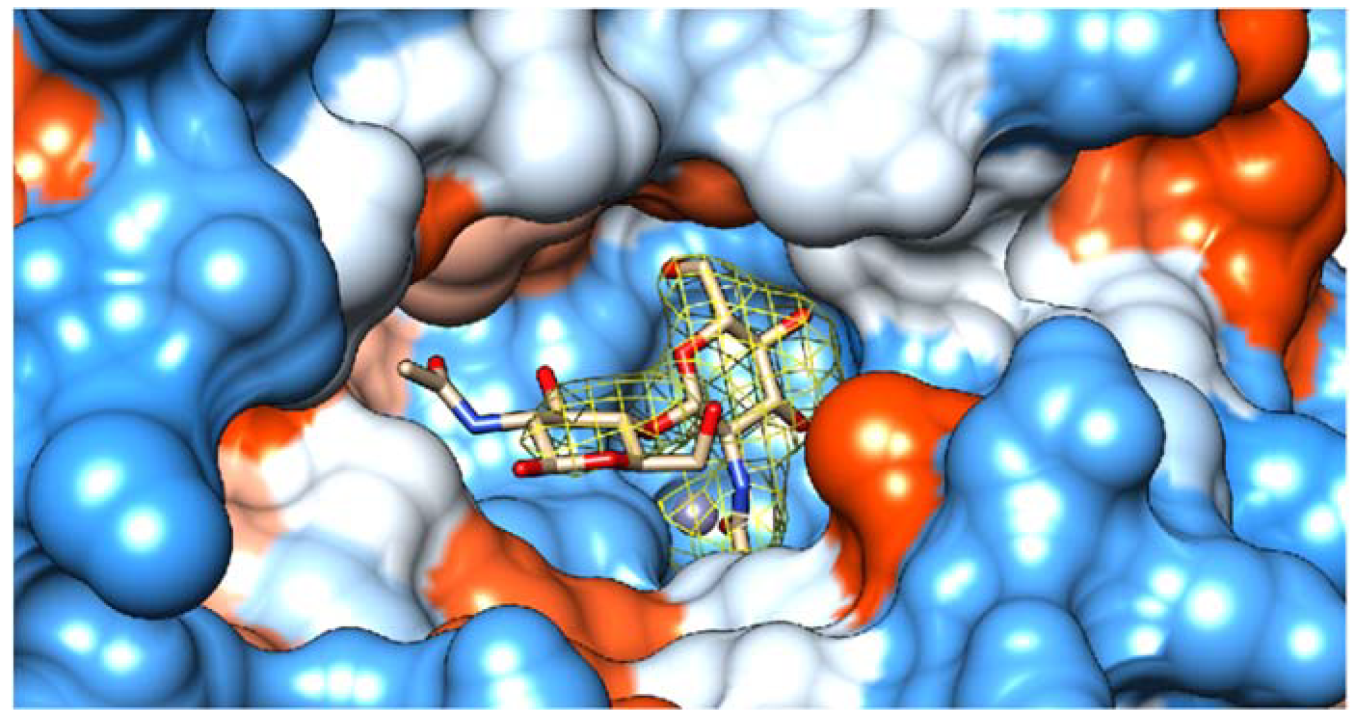 Ijms 23 15736 g005 Ijms 23 15736 g005